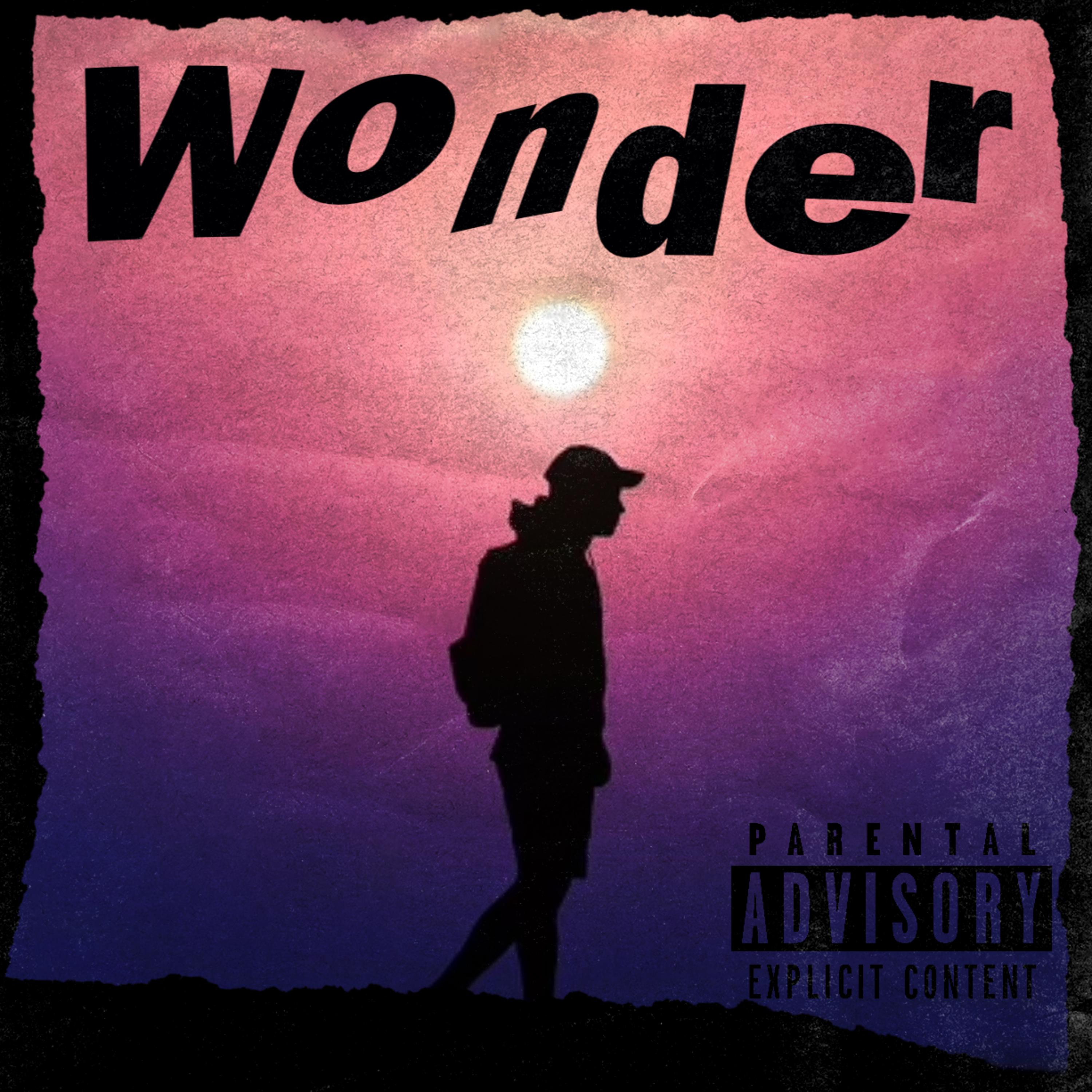 Wonder artwork