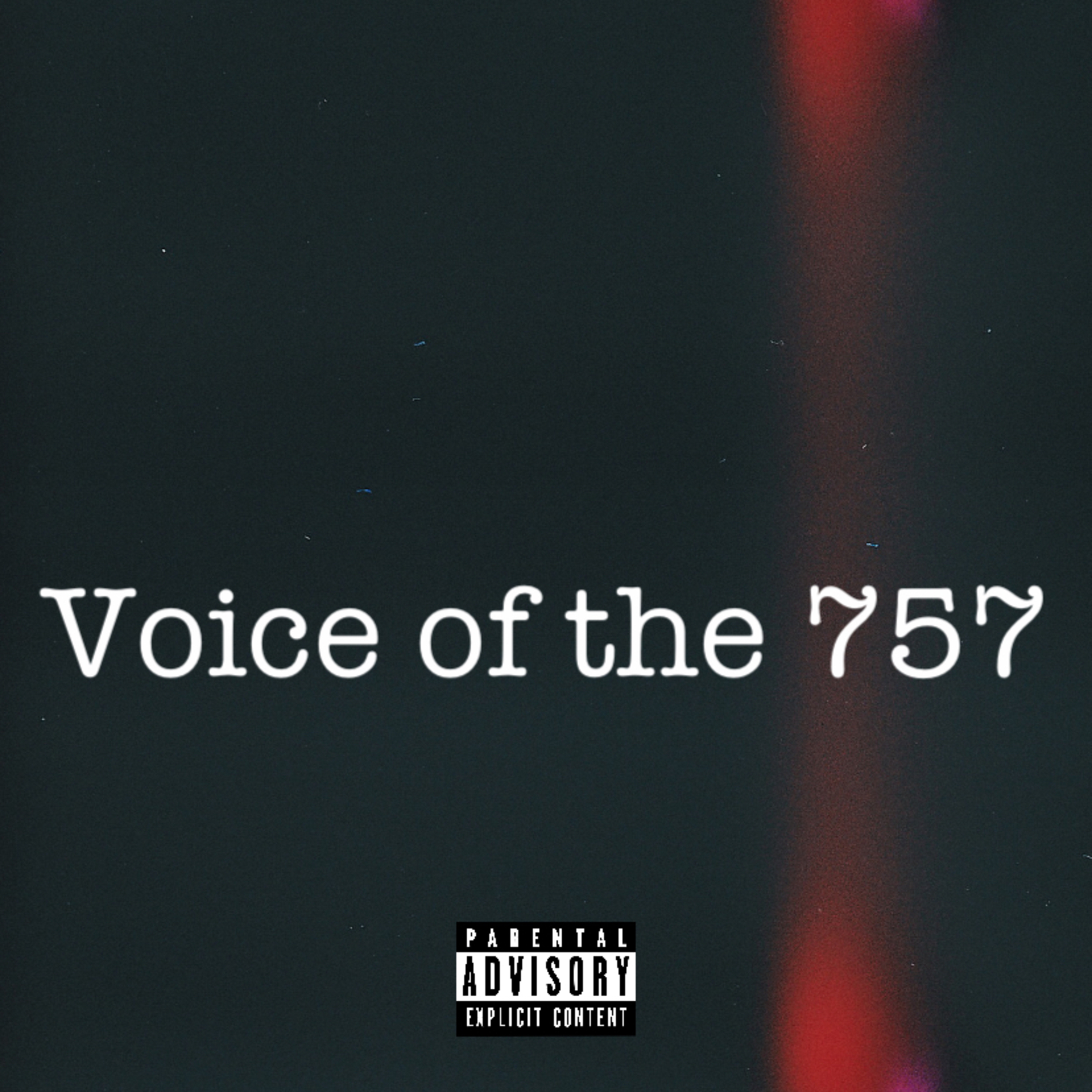Voice Of The 757 artwork