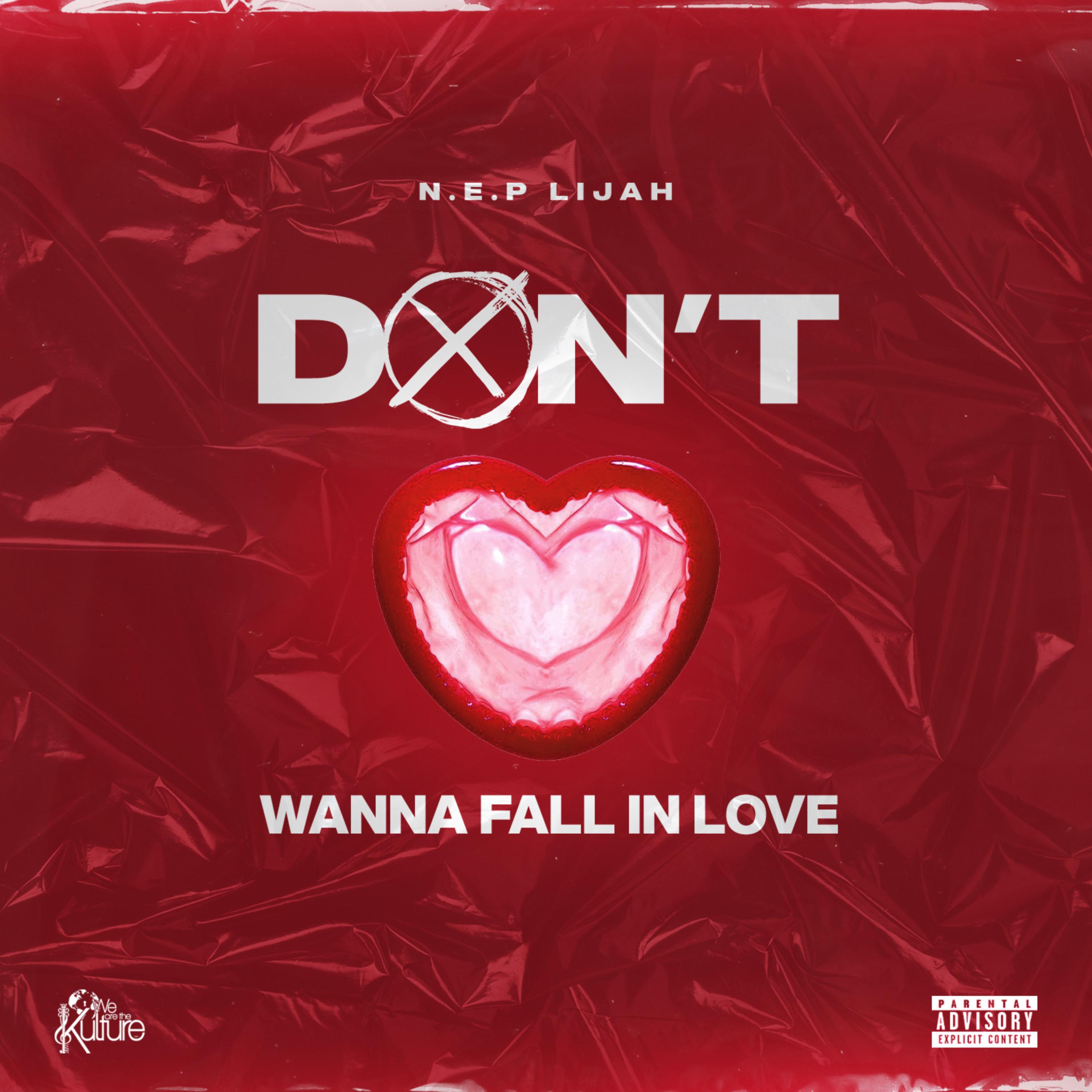 Don't Wanna Fall In Love artwork