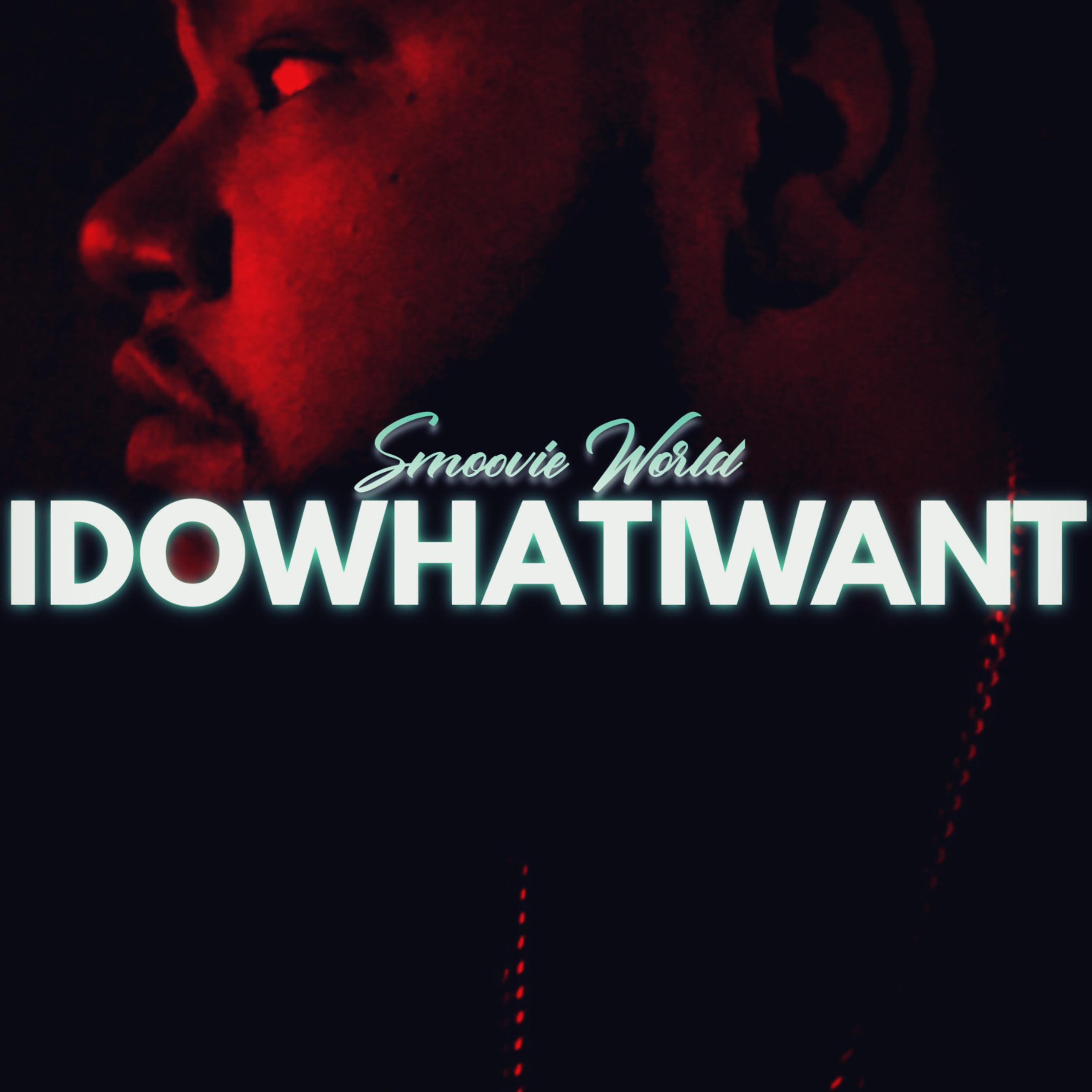 IDOWHATIWANT artwork