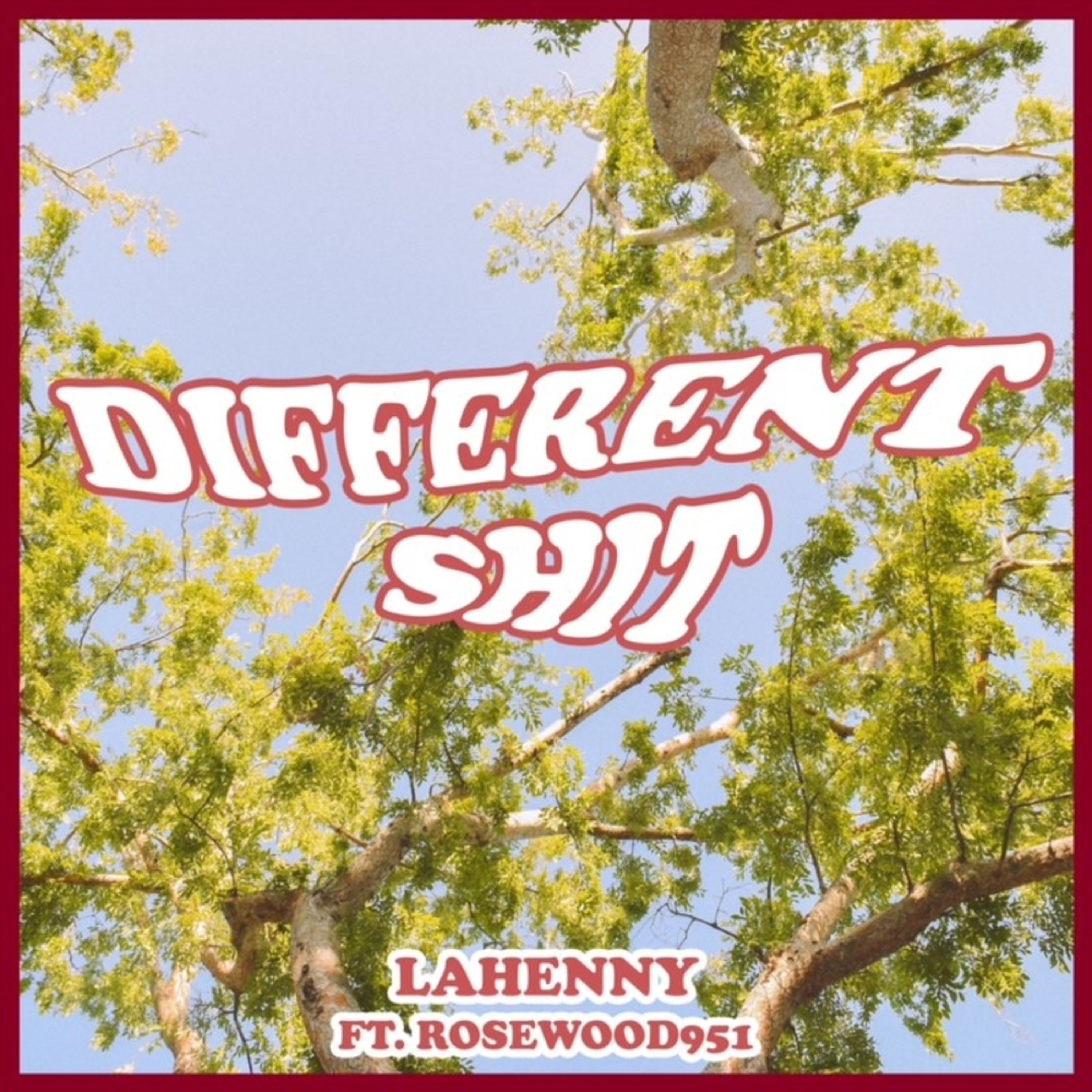 Different Shit artwork