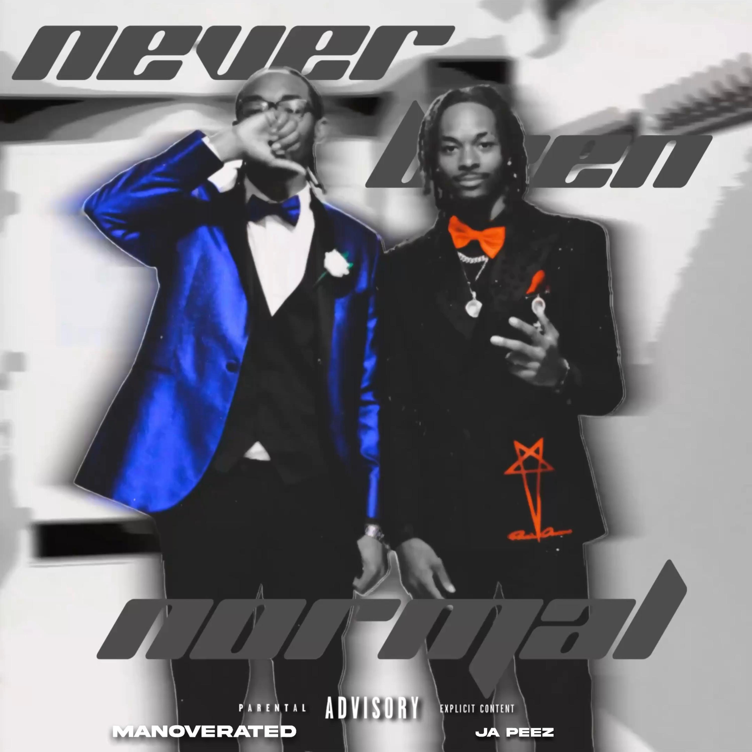 never been normal artwork