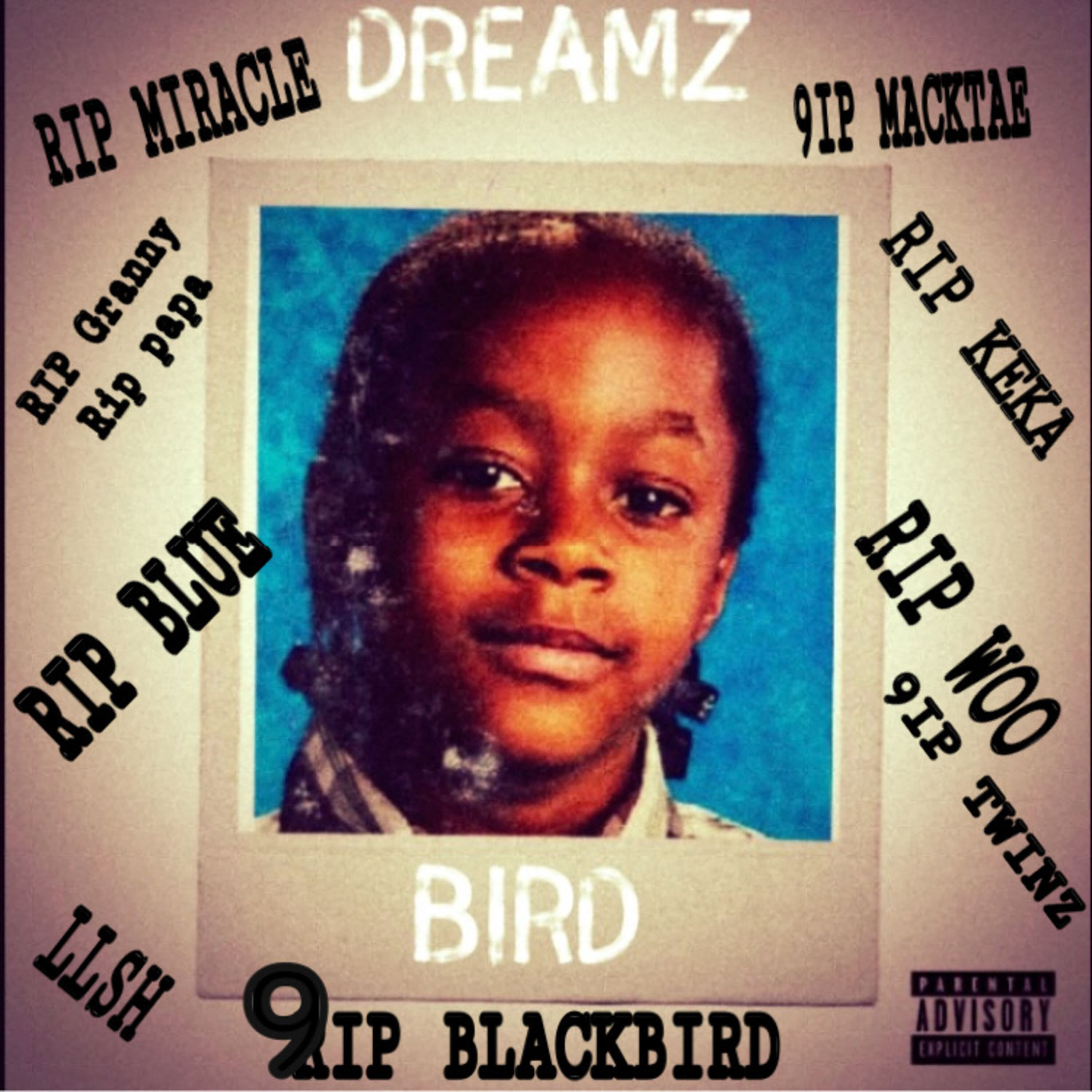 Dreamz artwork