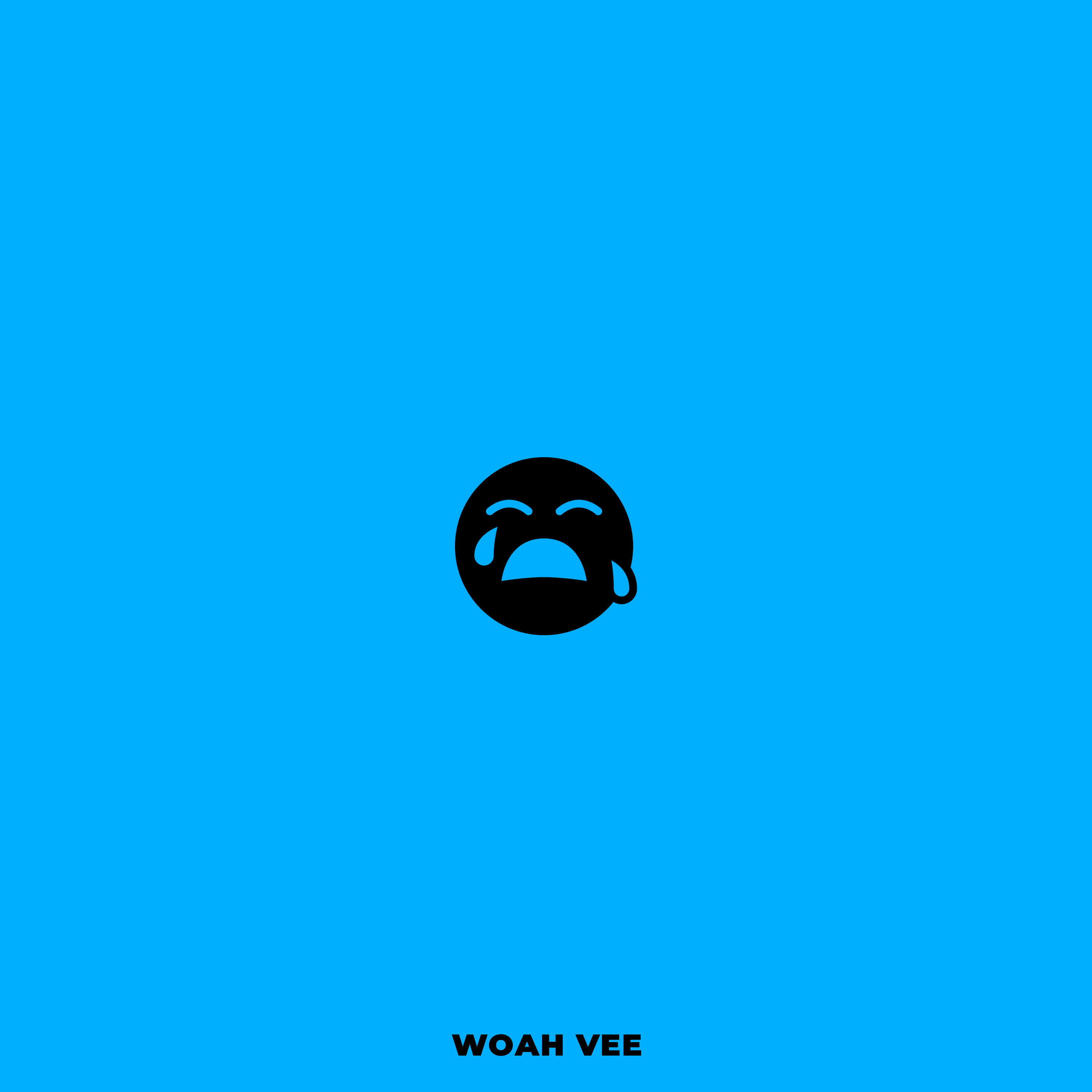 WOAH VEE artwork