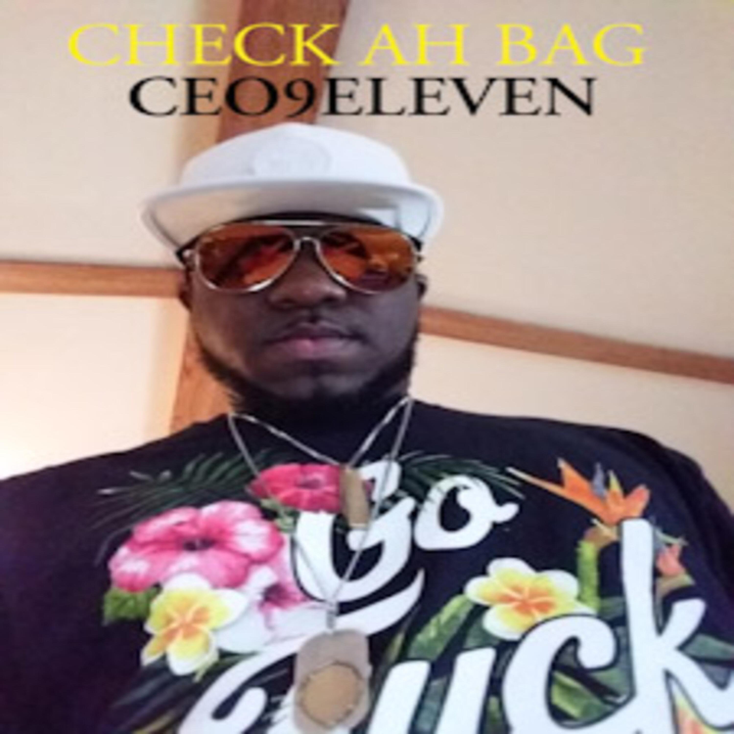 CHECK AH BAG artwork