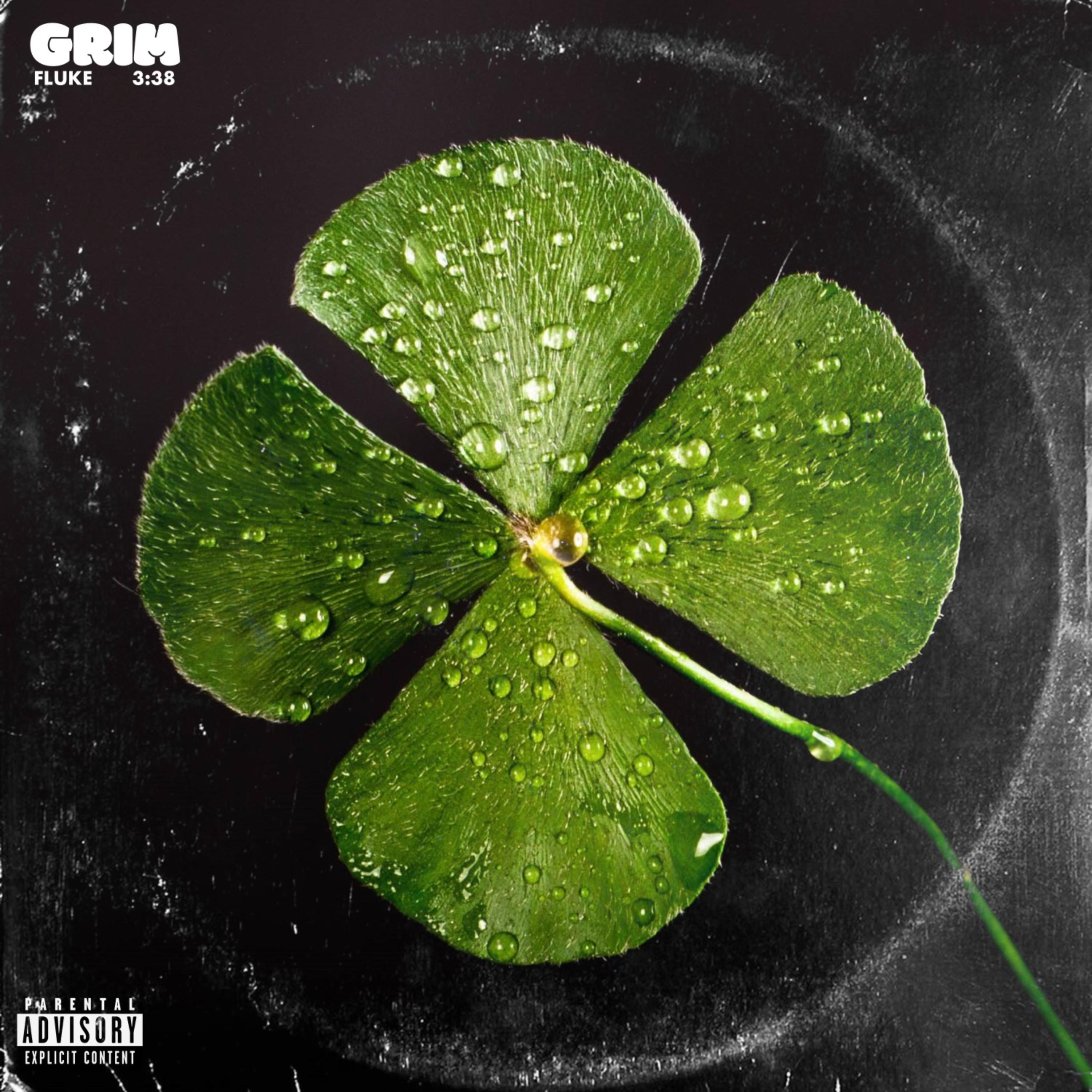 FLUKE by Grim cover art