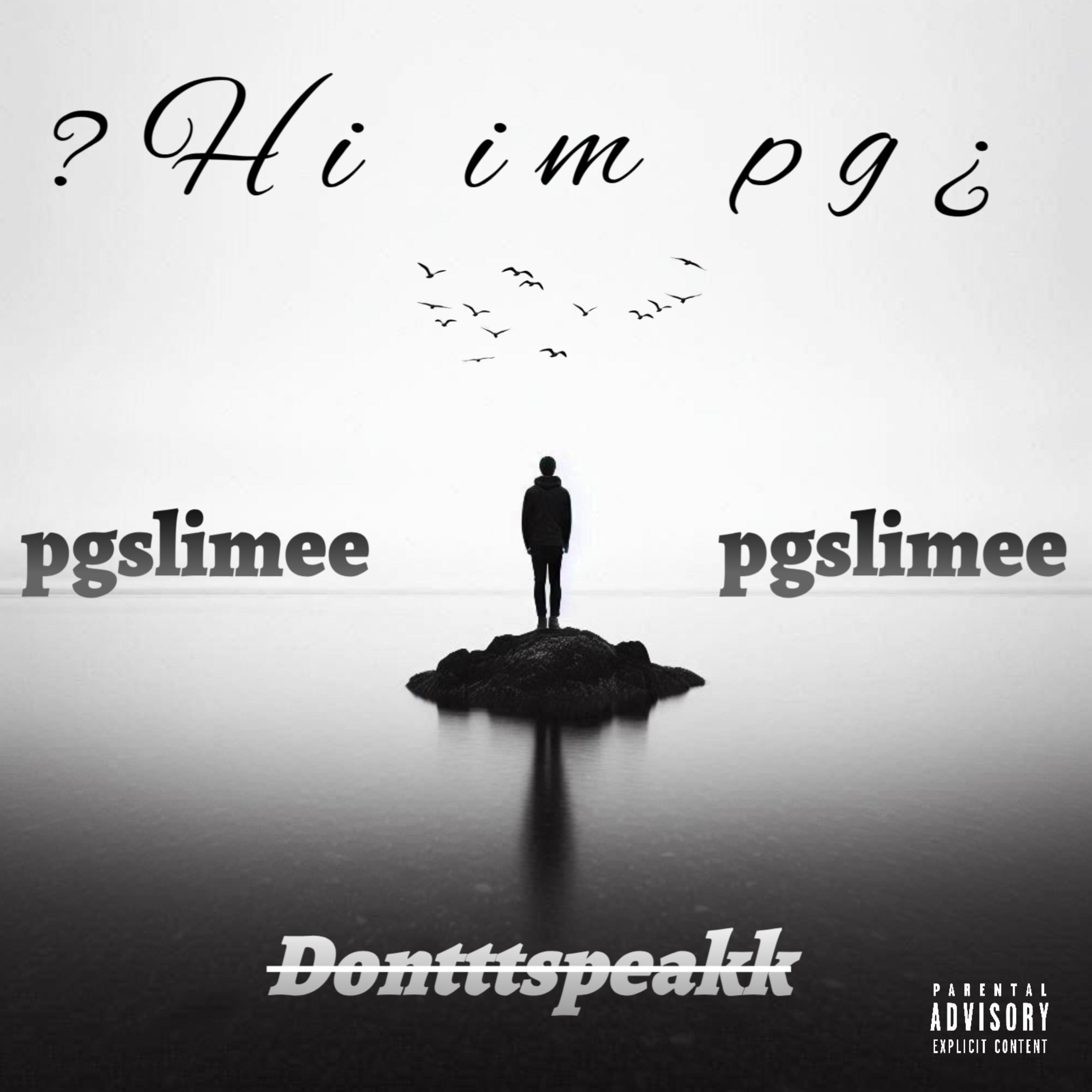 ?Hi Im Pg¿ artwork