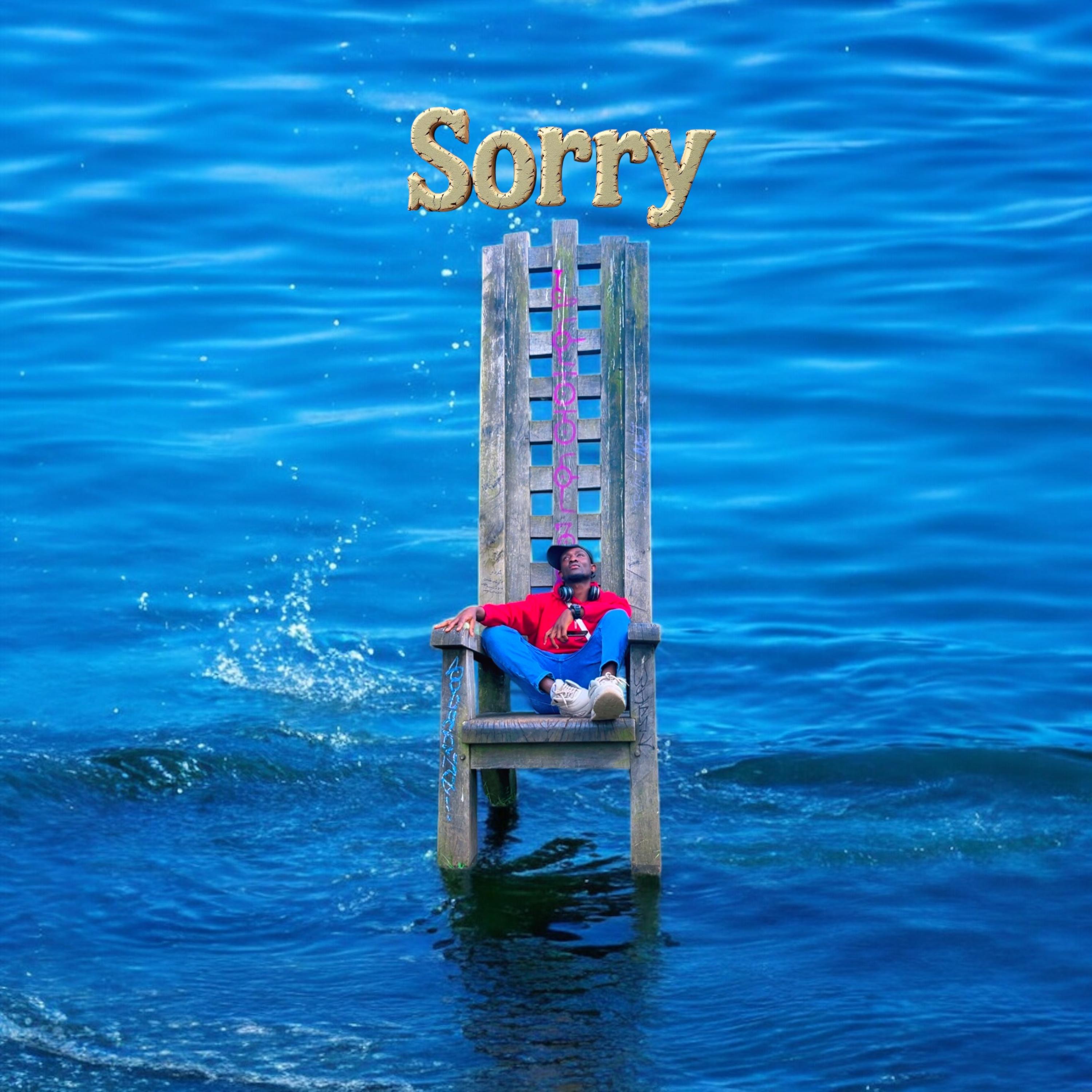 Sorry artwork