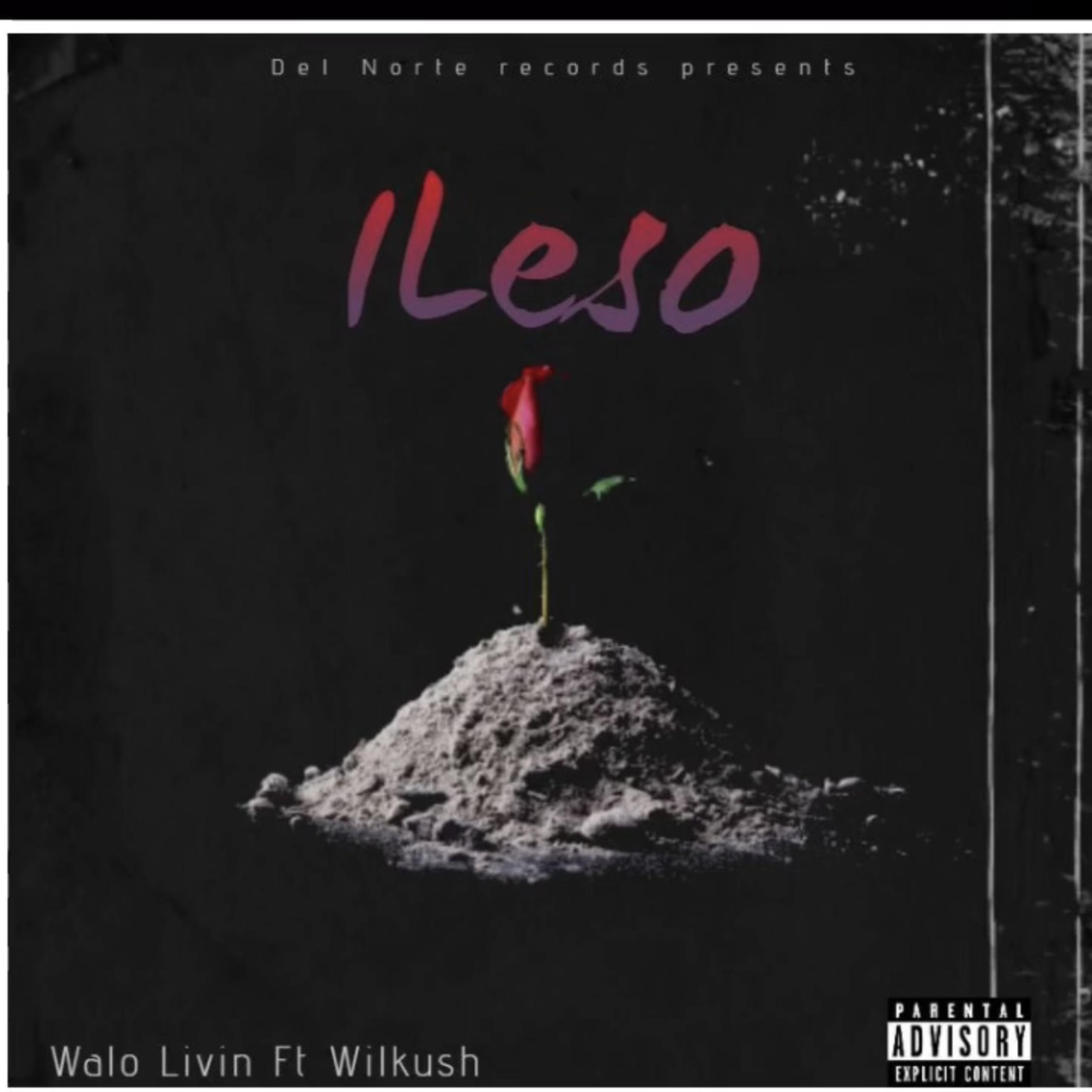 ileso artwork