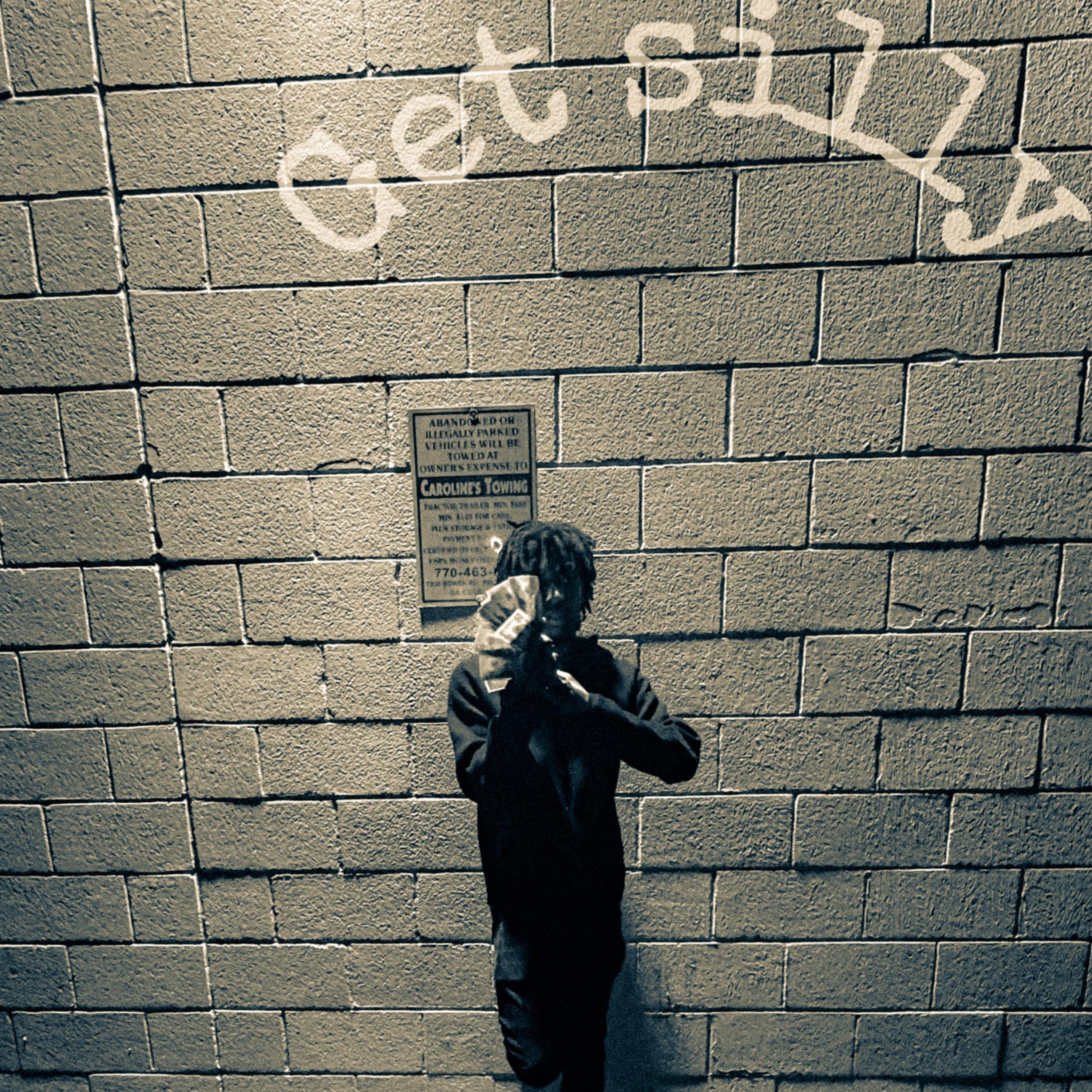 Get Silly artwork