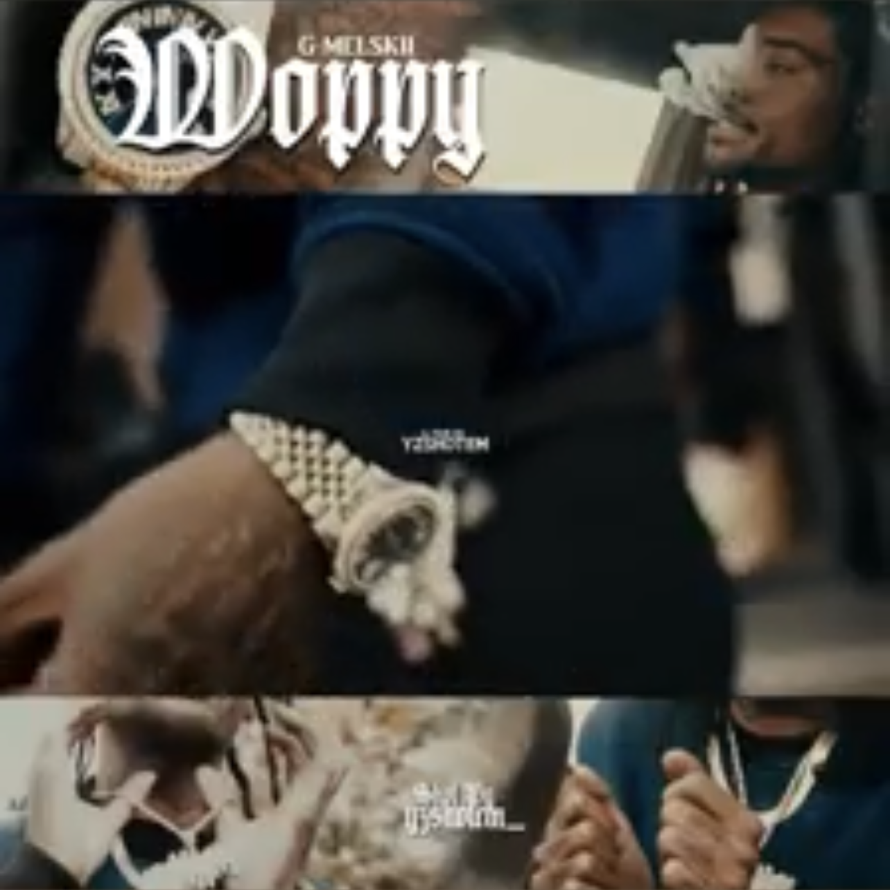 Woppy artwork