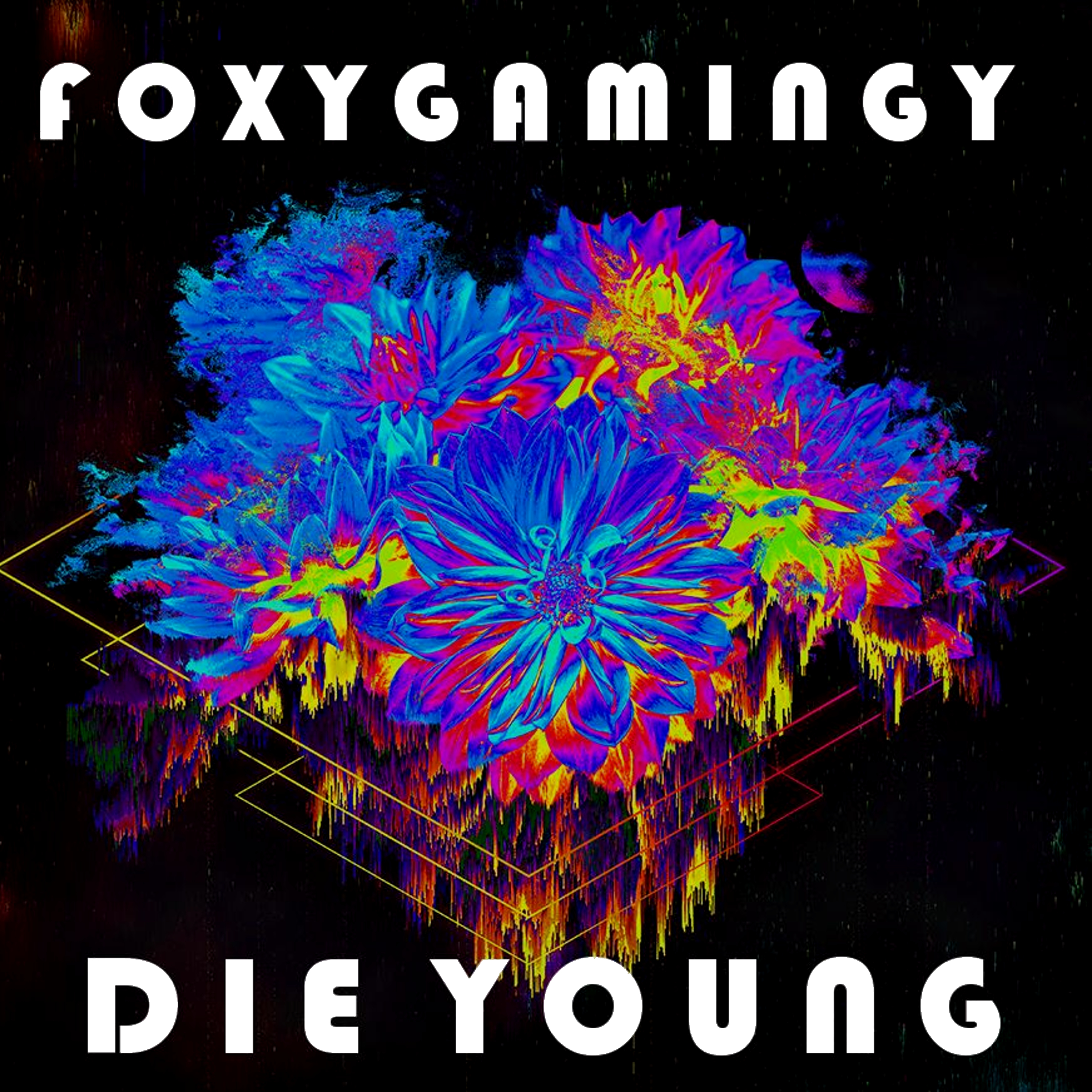 Die young artwork
