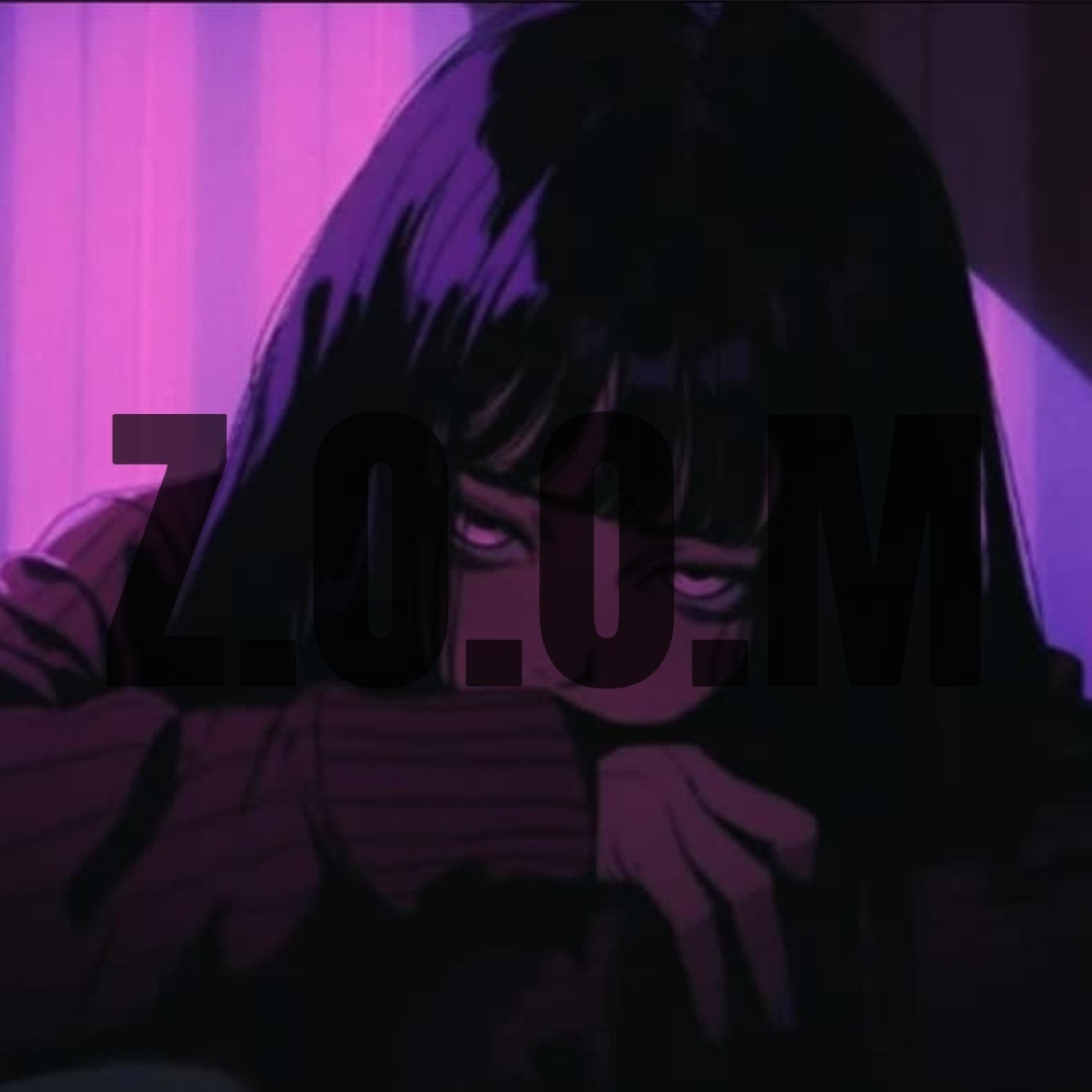 Z.O.O.M artwork
