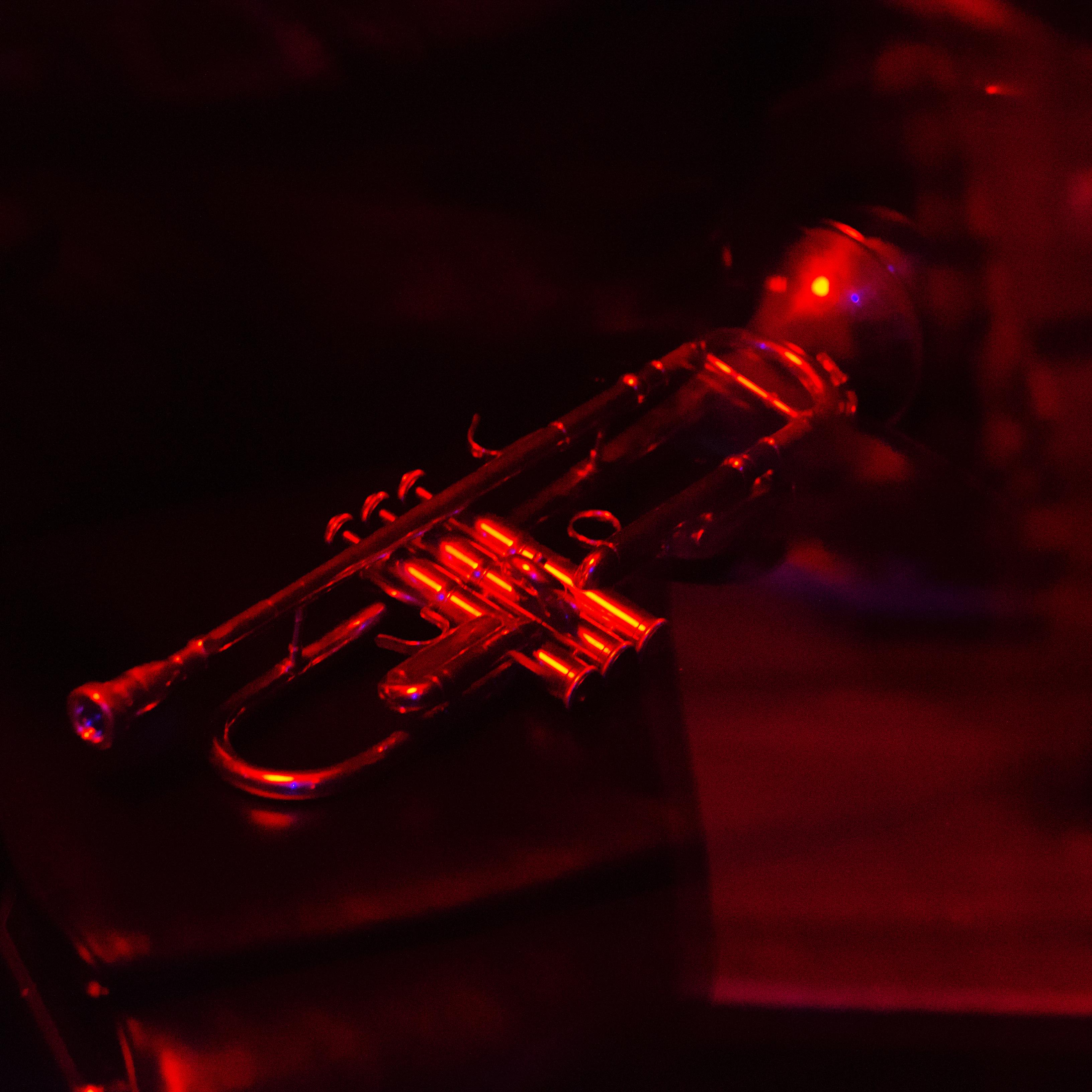 Warning Call artwork