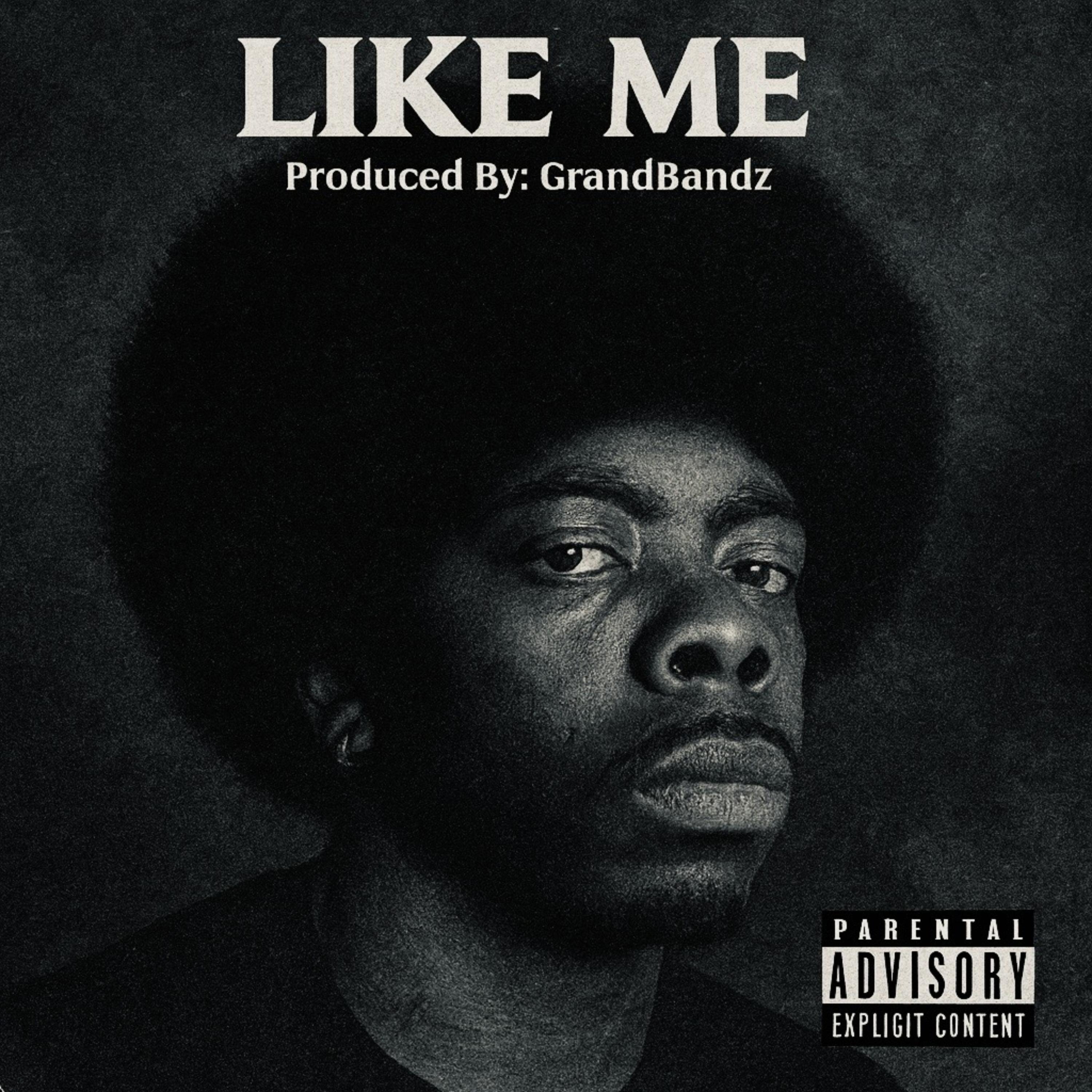 LIKE ME artwork