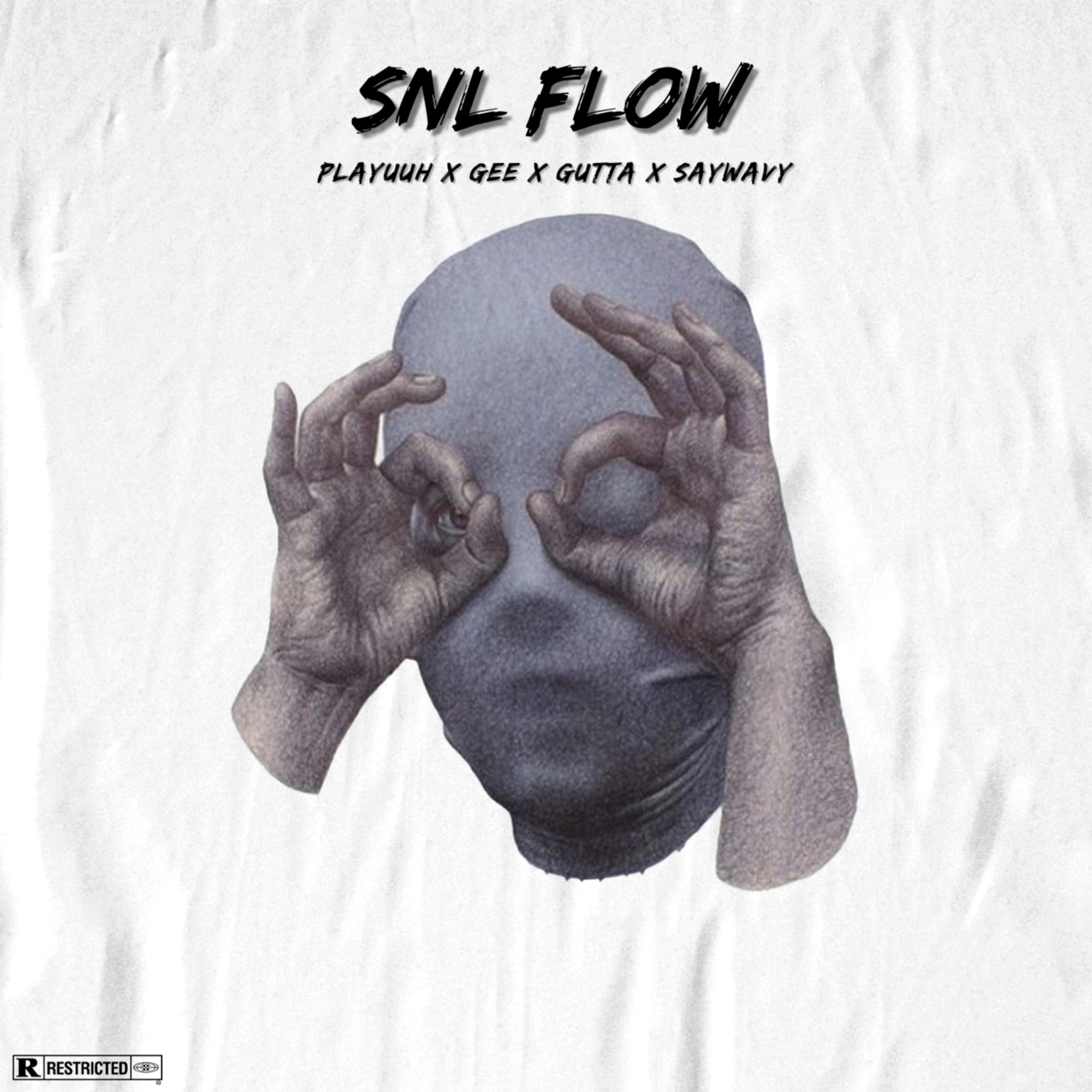 Snl Flow artwork