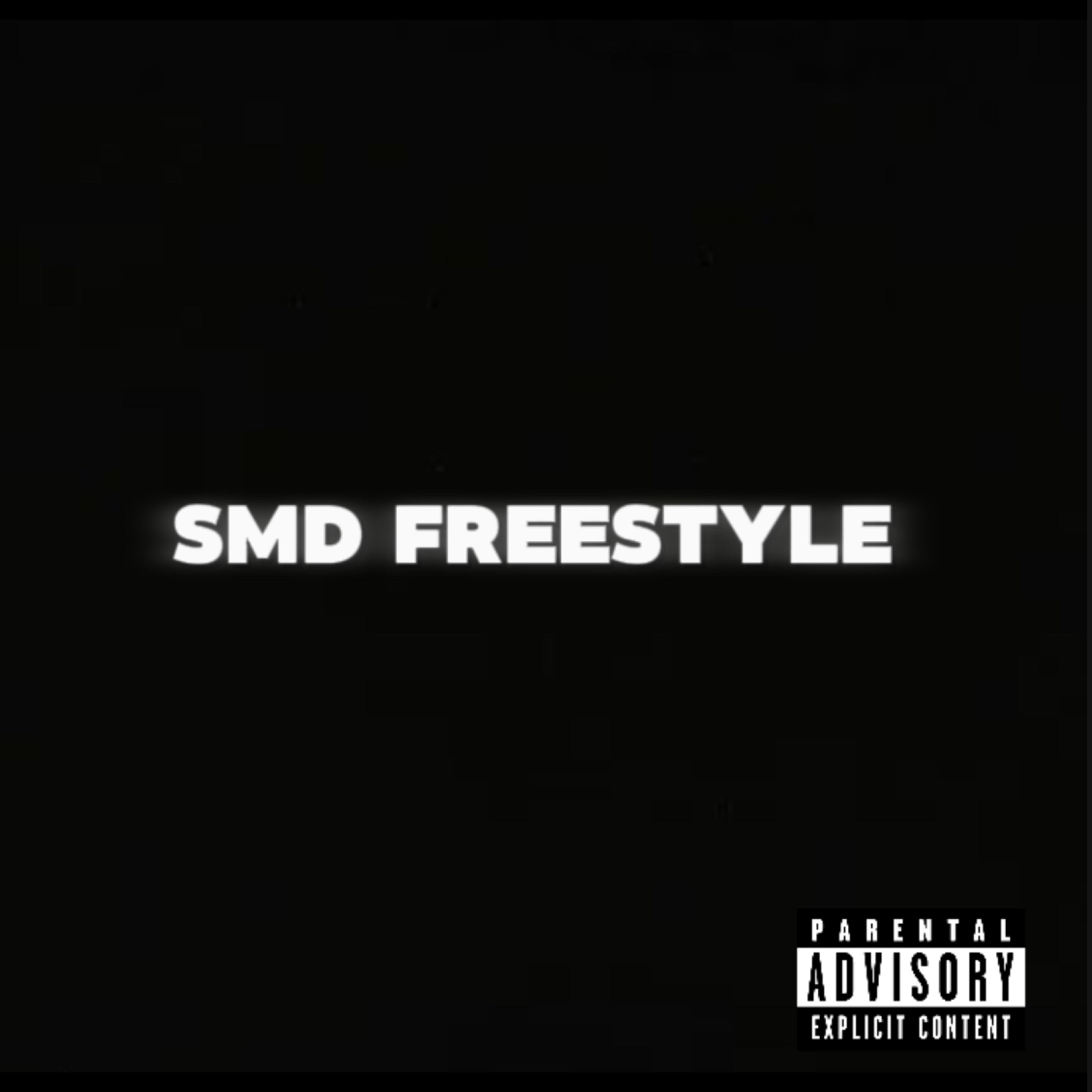 Smd Freestyle artwork