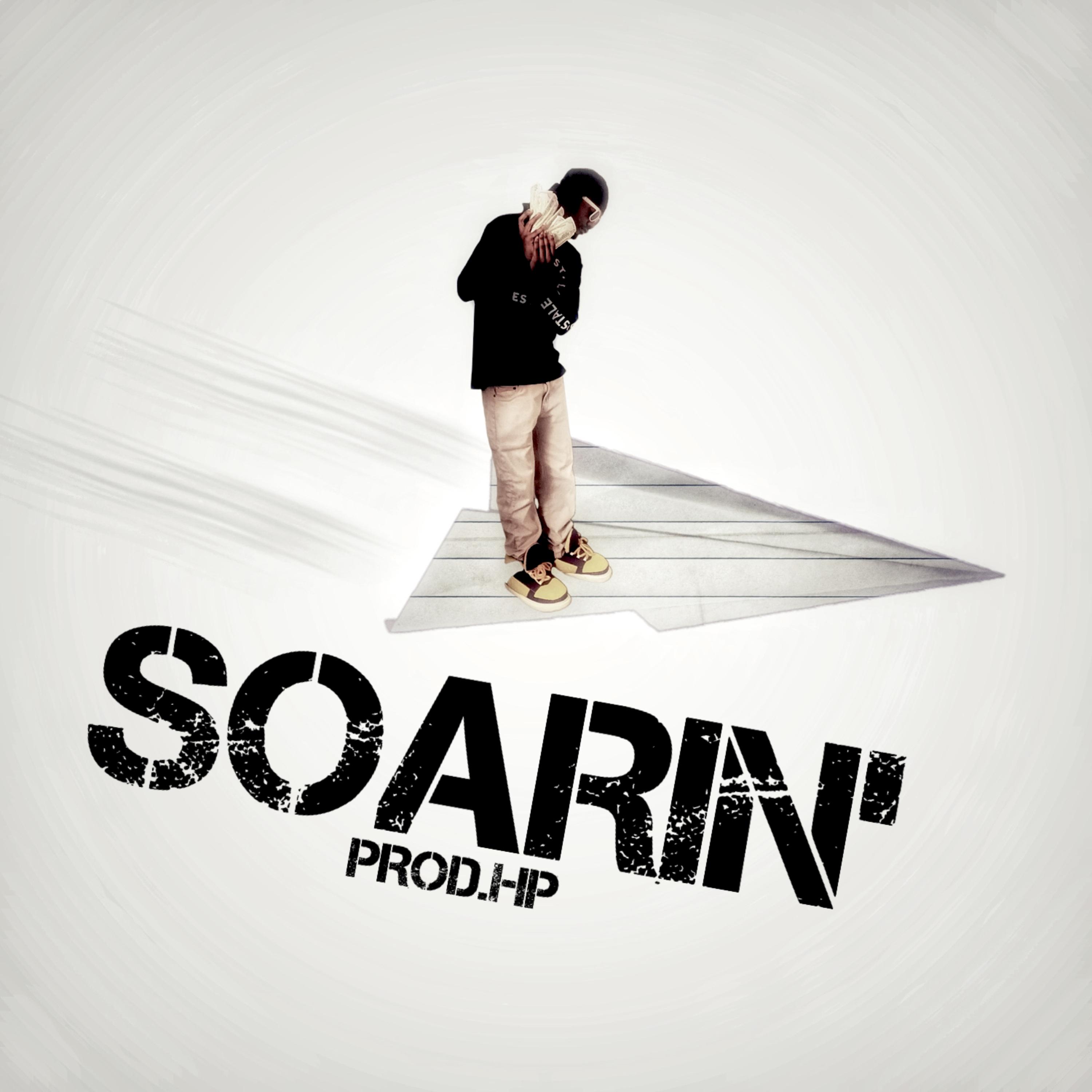 SOARIN artwork