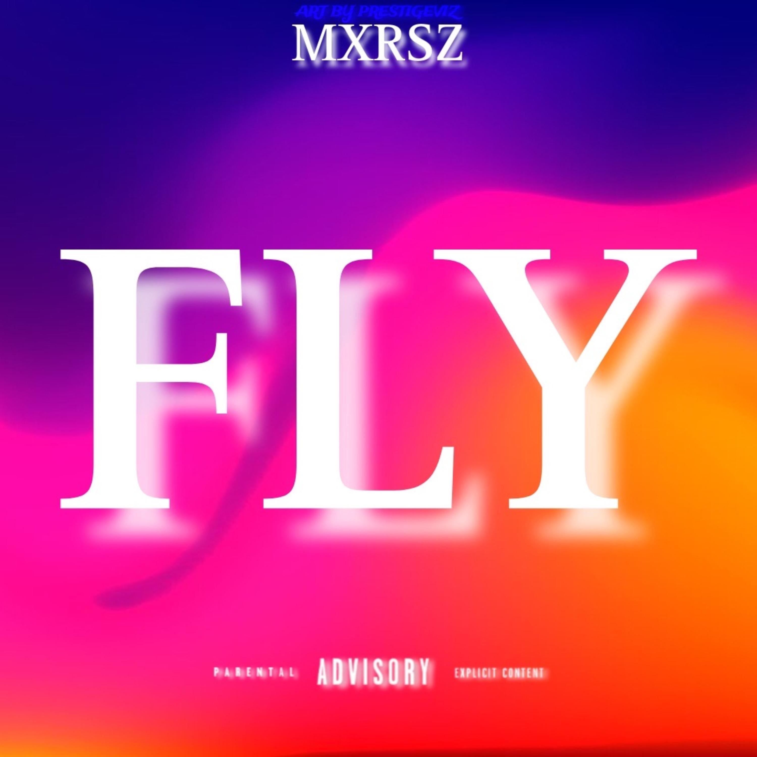 Fly artwork