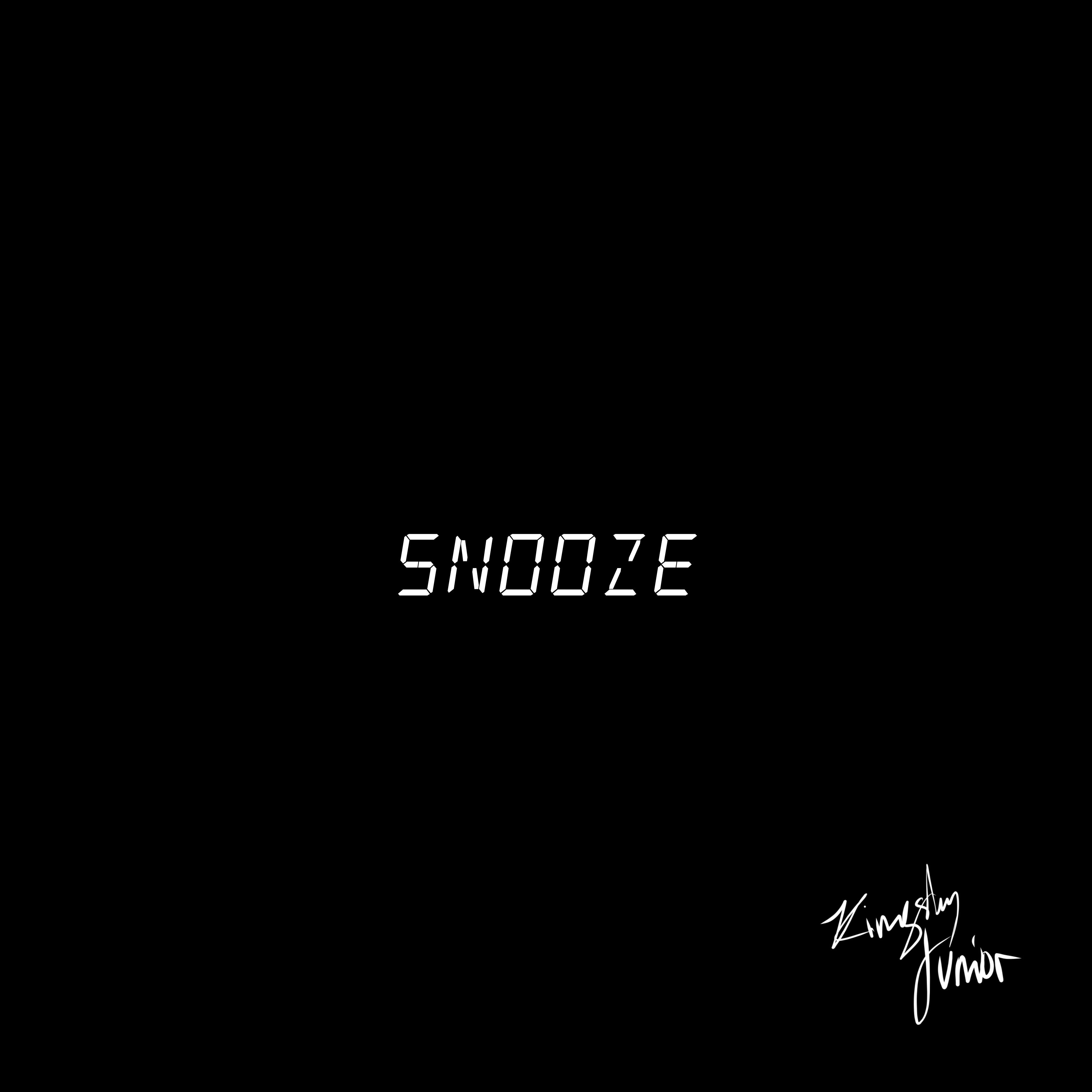 SNOOZE artwork