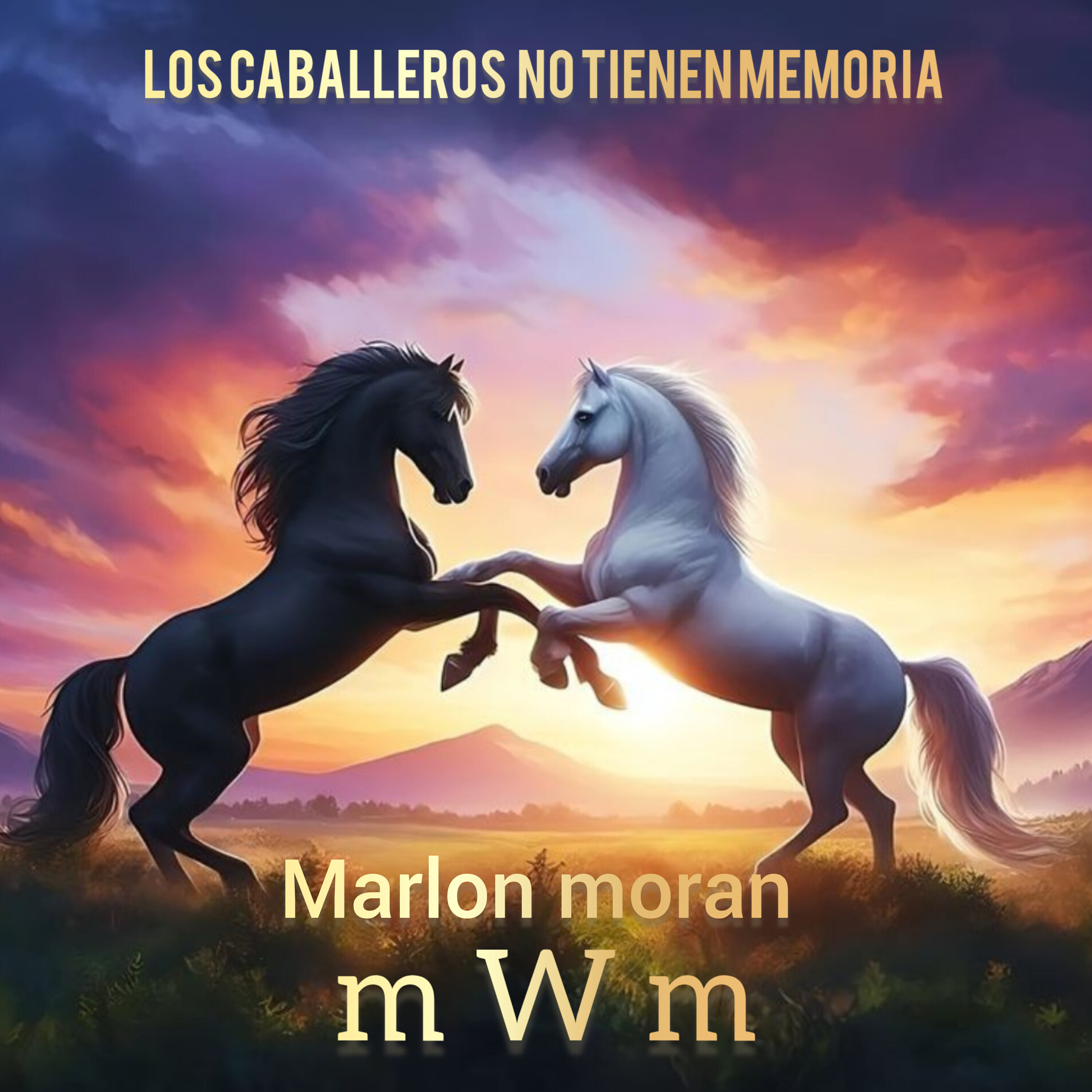 los caballeros no tienen memoria artwork