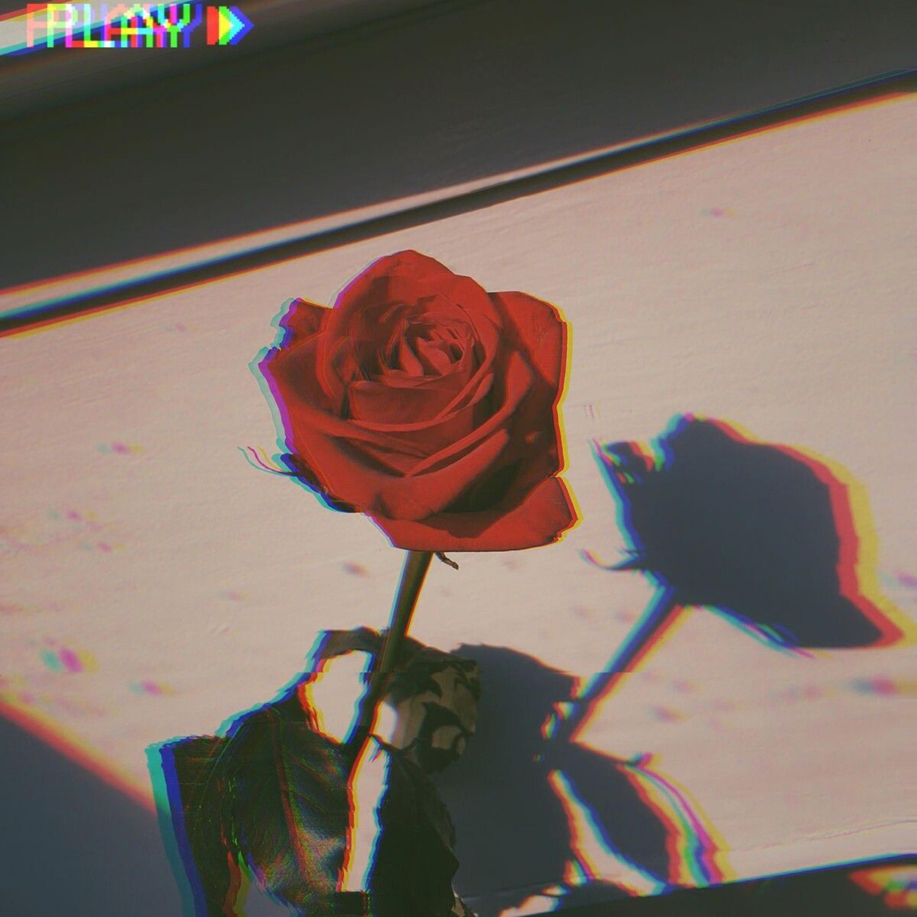 Rose Has Pains artwork