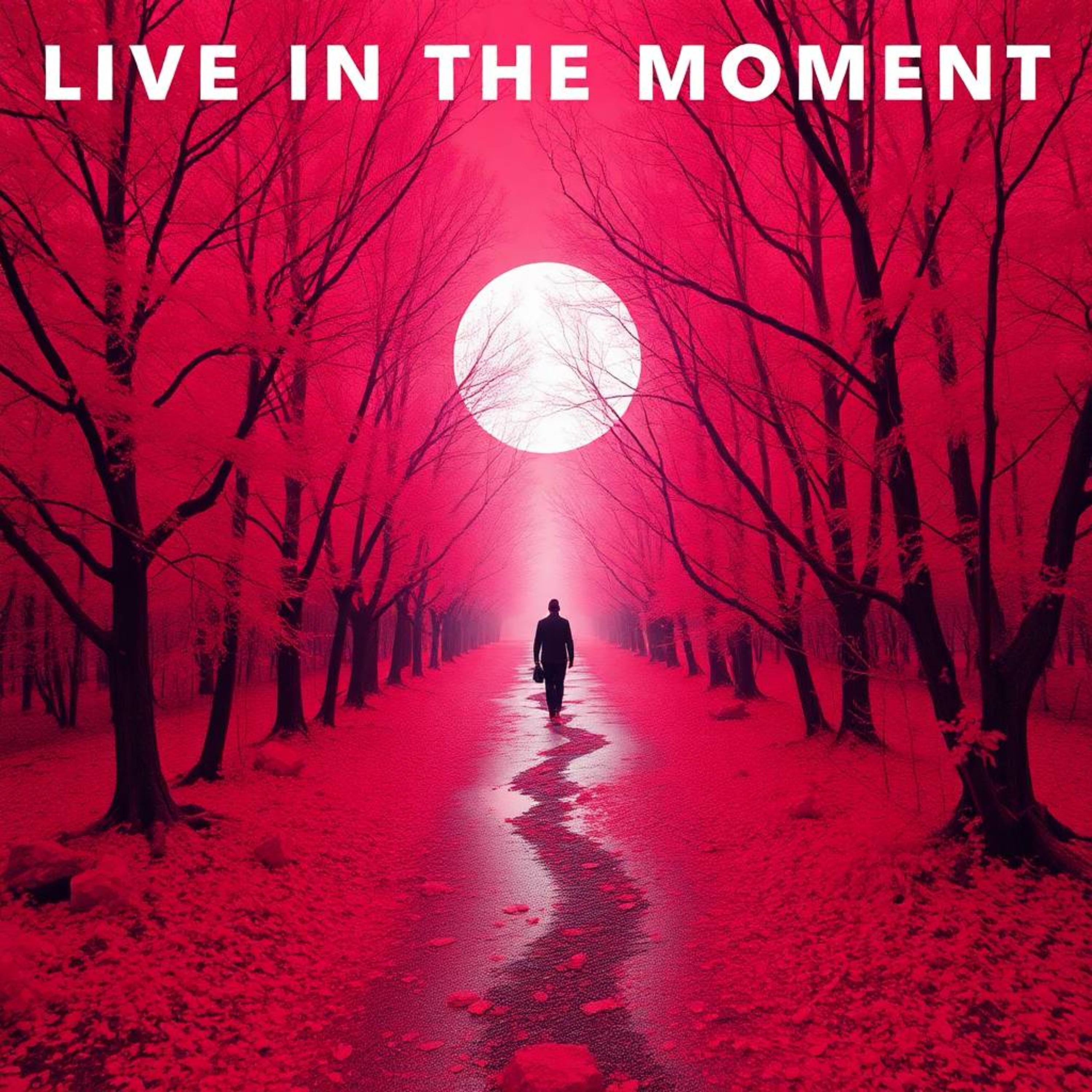 Live in the Moment artwork