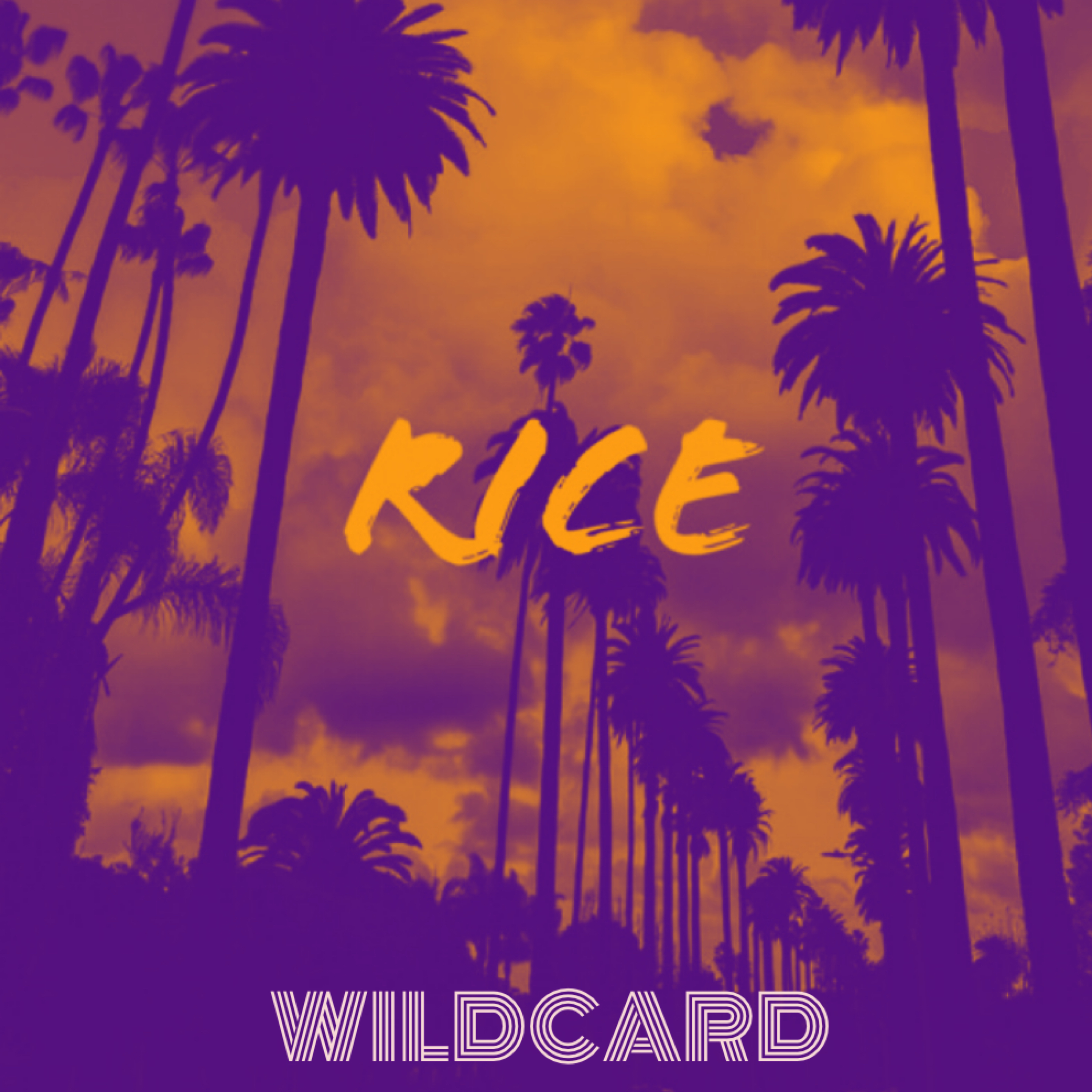 Wildcard artwork