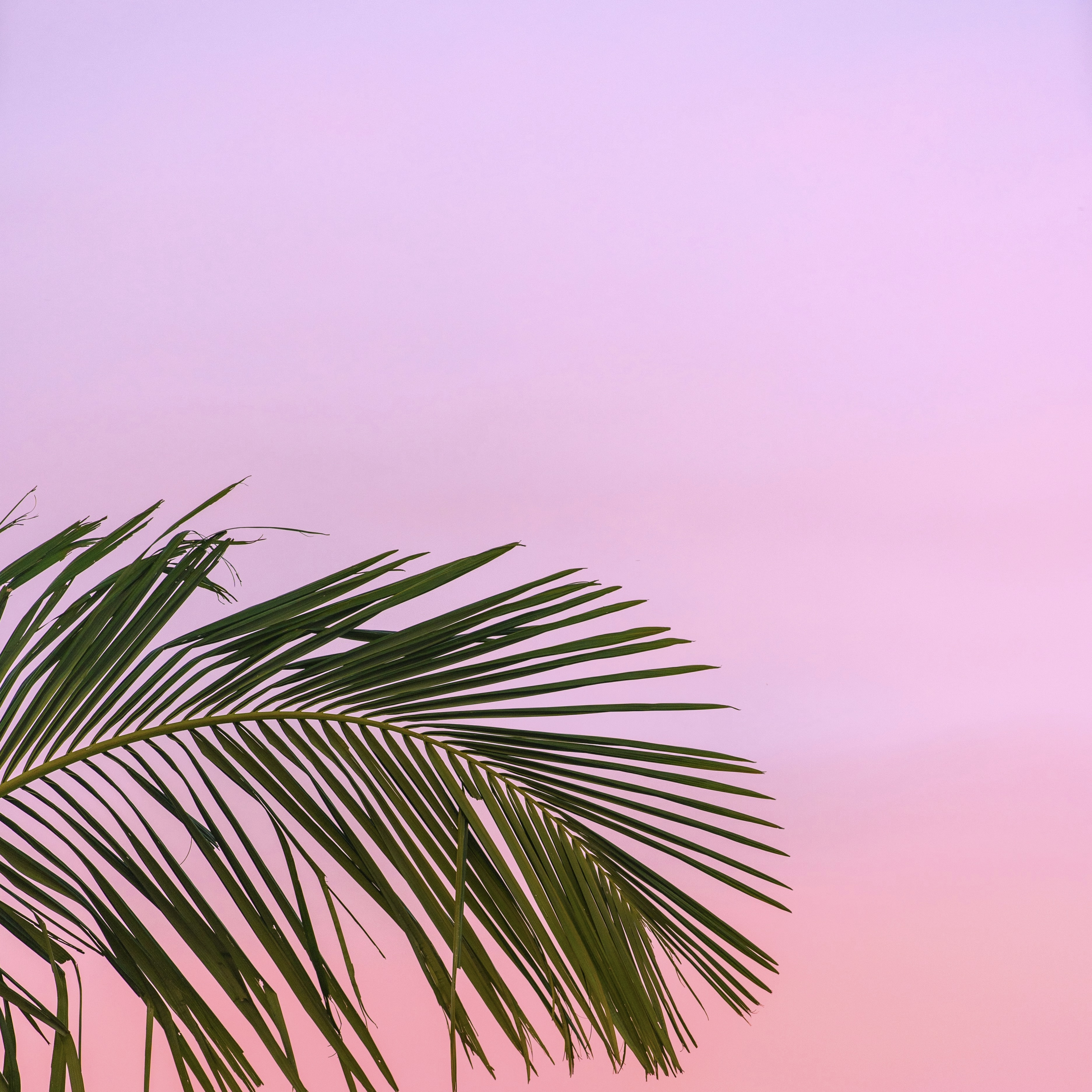 Summer Fallin by Smoove Irie cover art