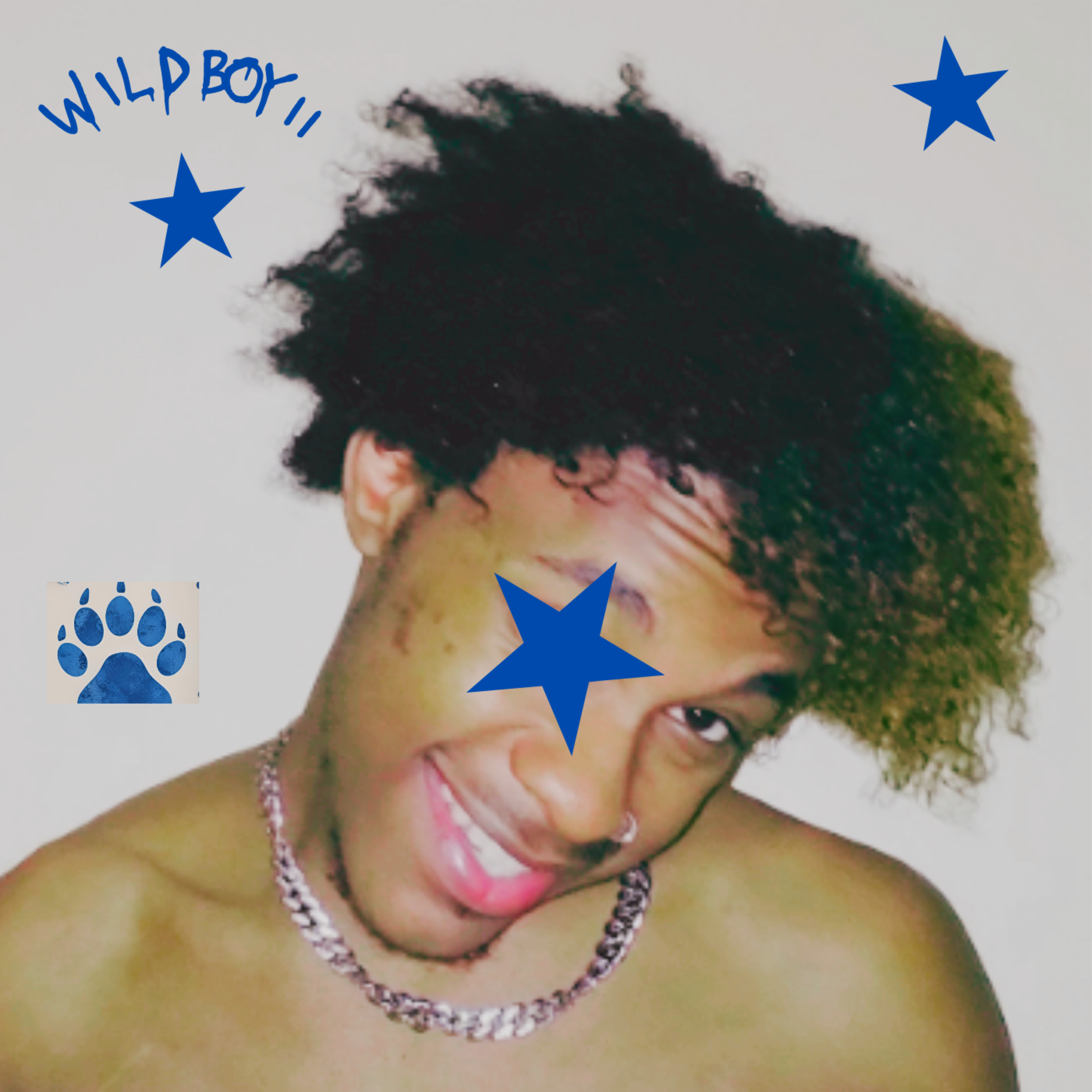 WILD BOY 2 artwork