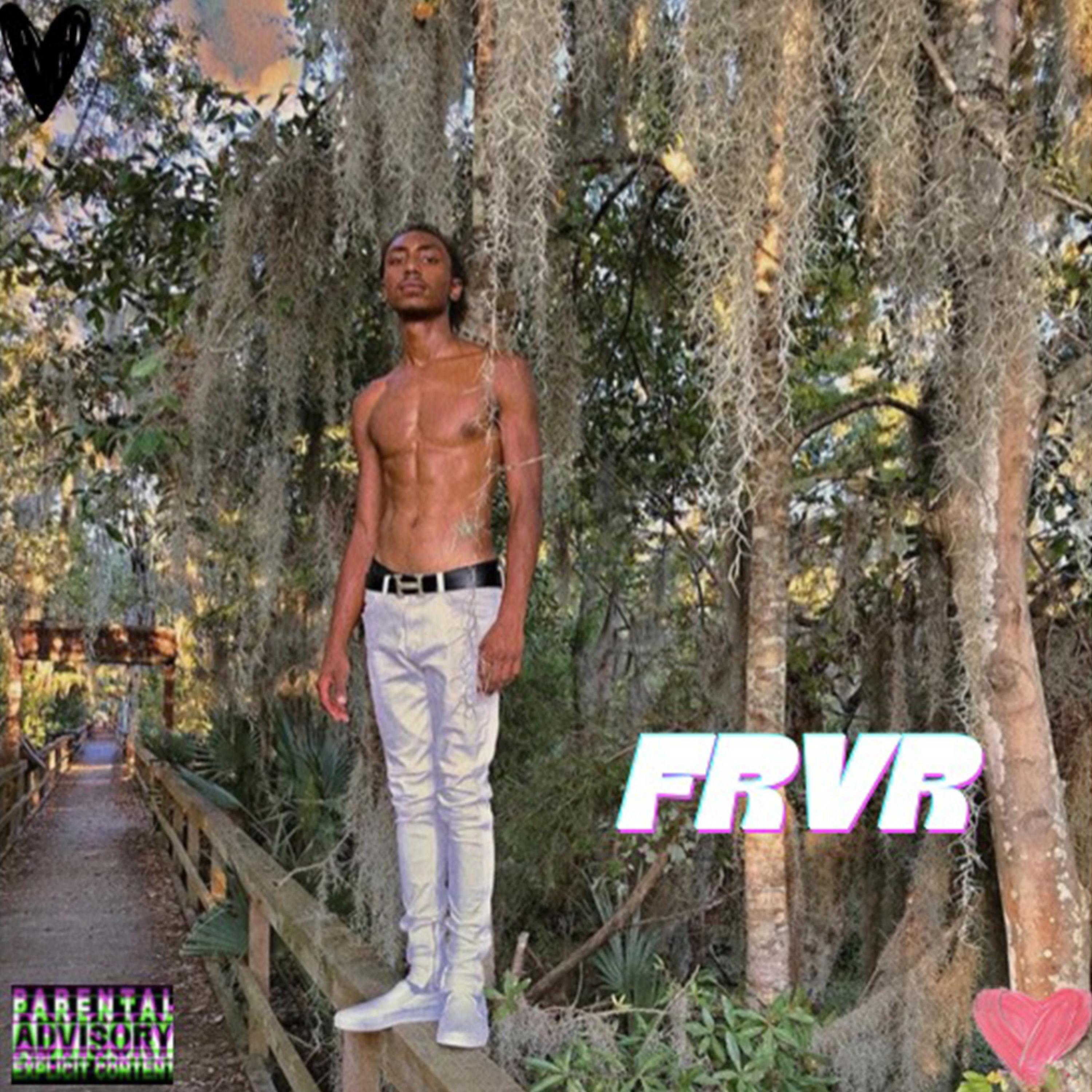 FRVR artwork