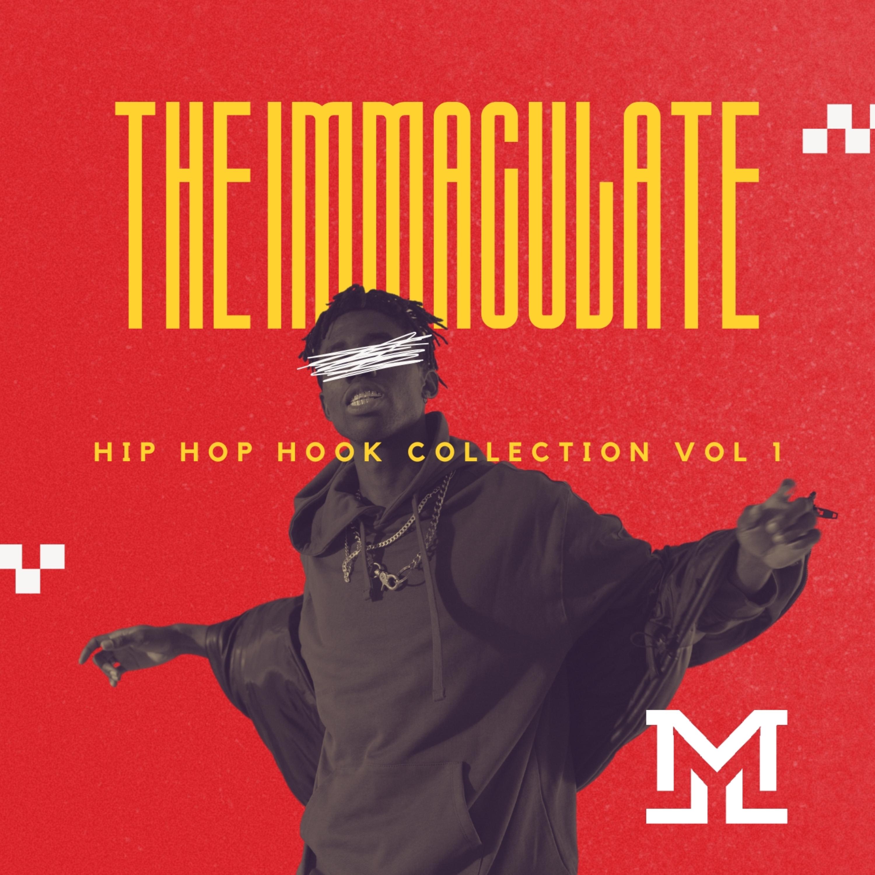 The Immaculate Hip Hop Hook Collection Vol 1 artwork