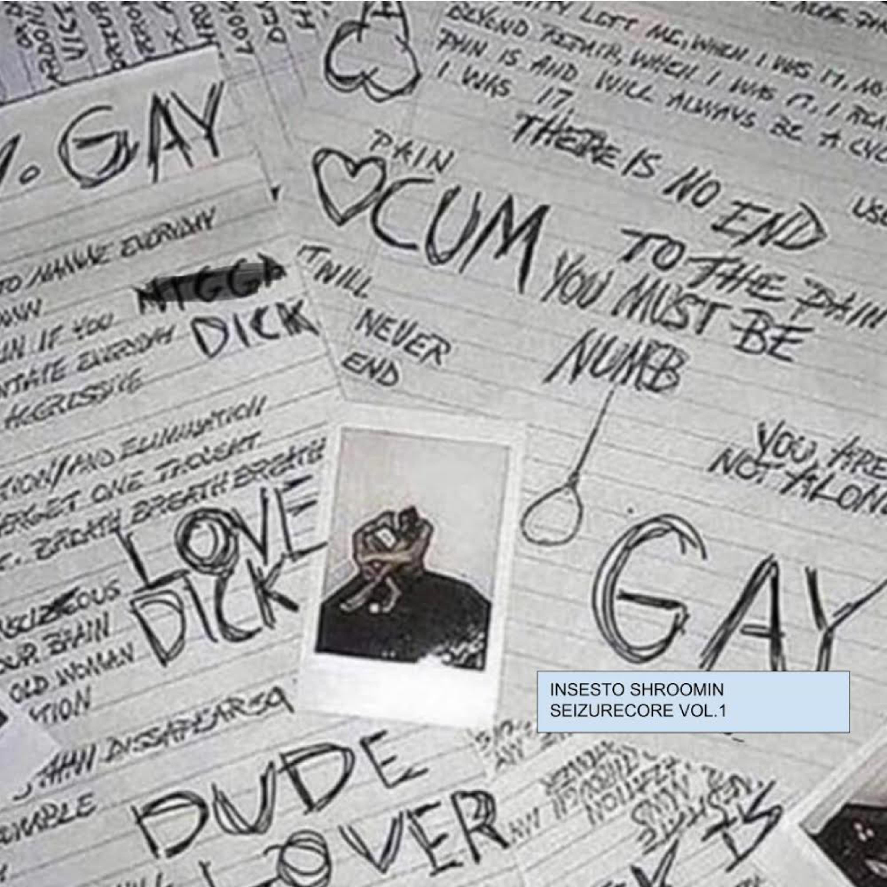 SeizureCore Vol. 1 artwork