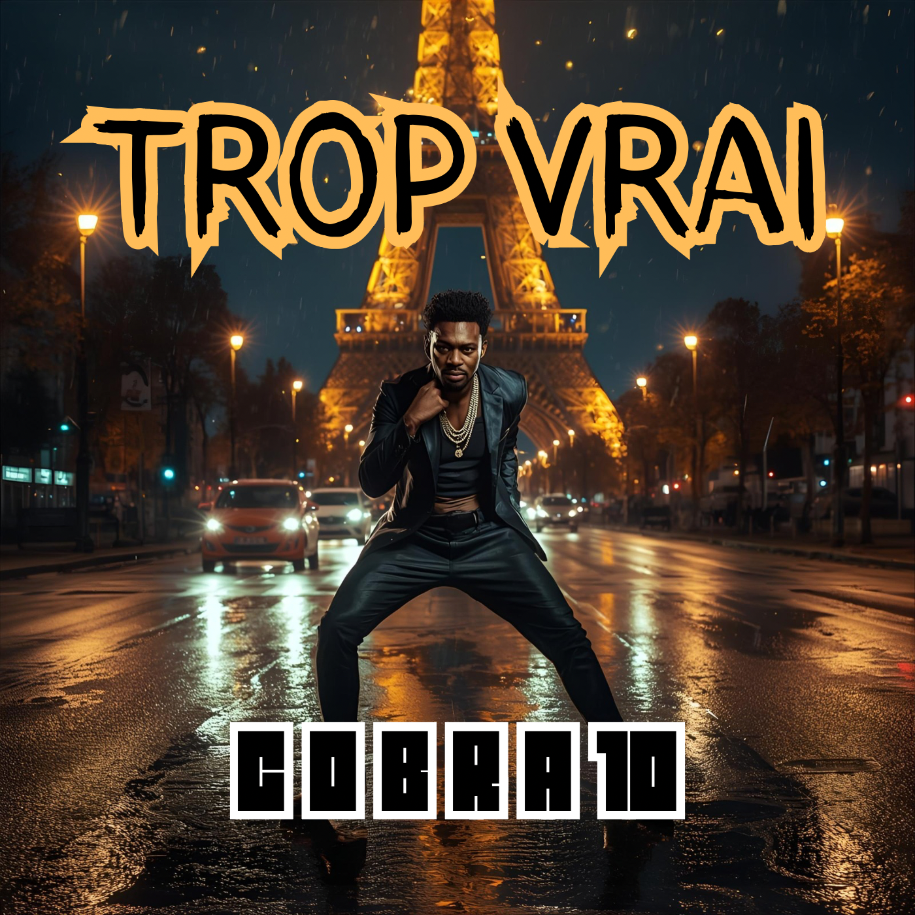 Trop Vrai artwork