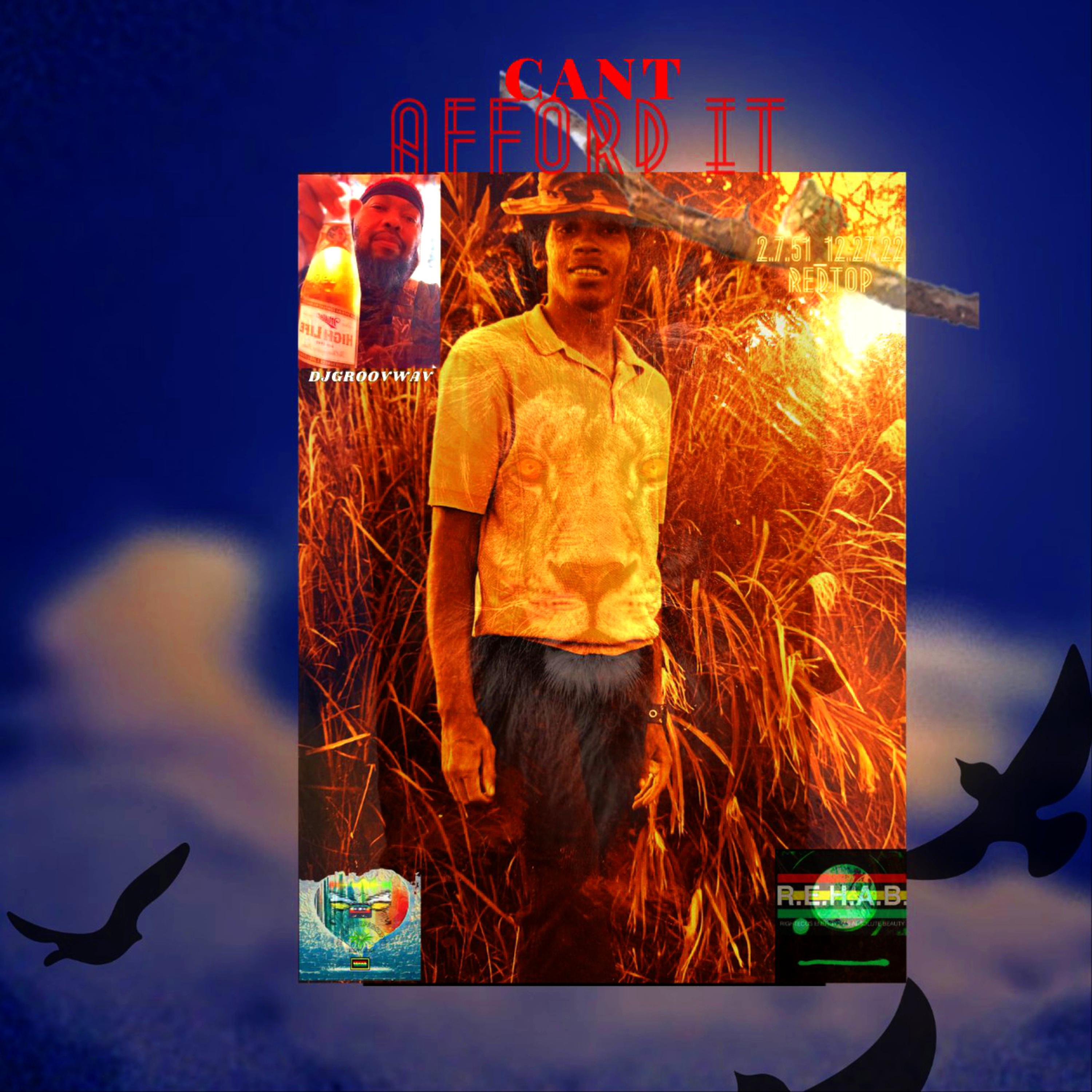 CantAffordIt artwork