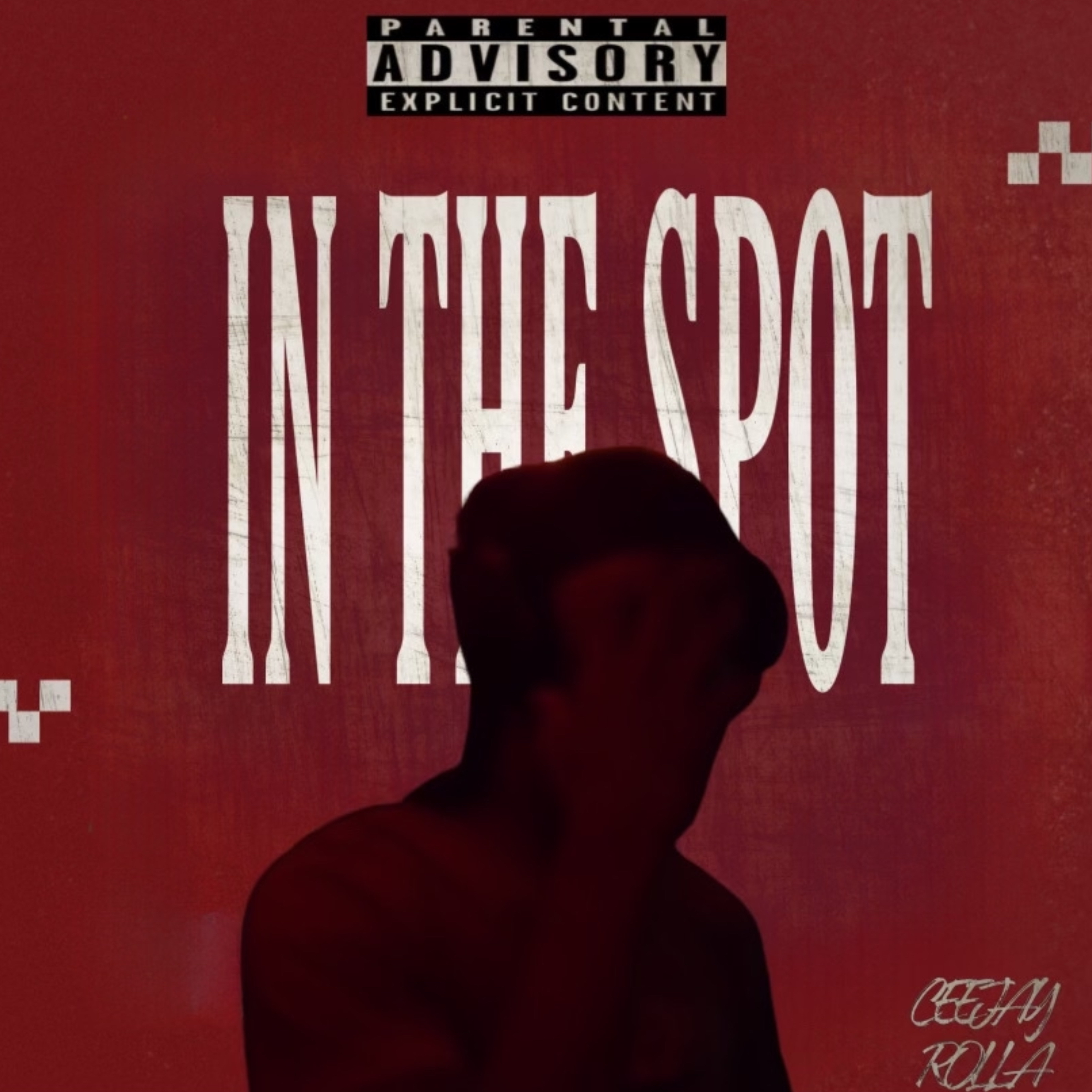 In The spot by CeeJay Rolla cover art