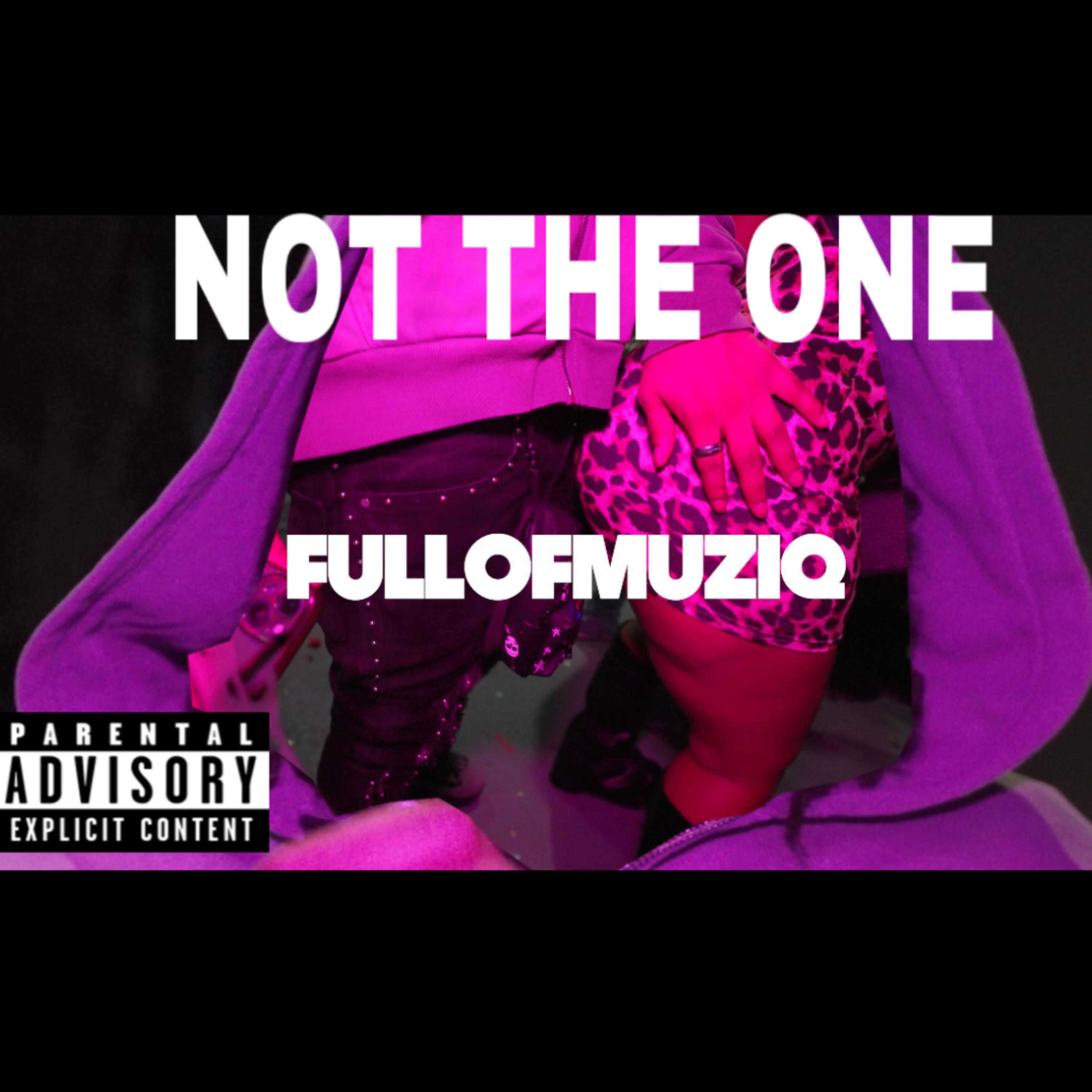 Not The One artwork