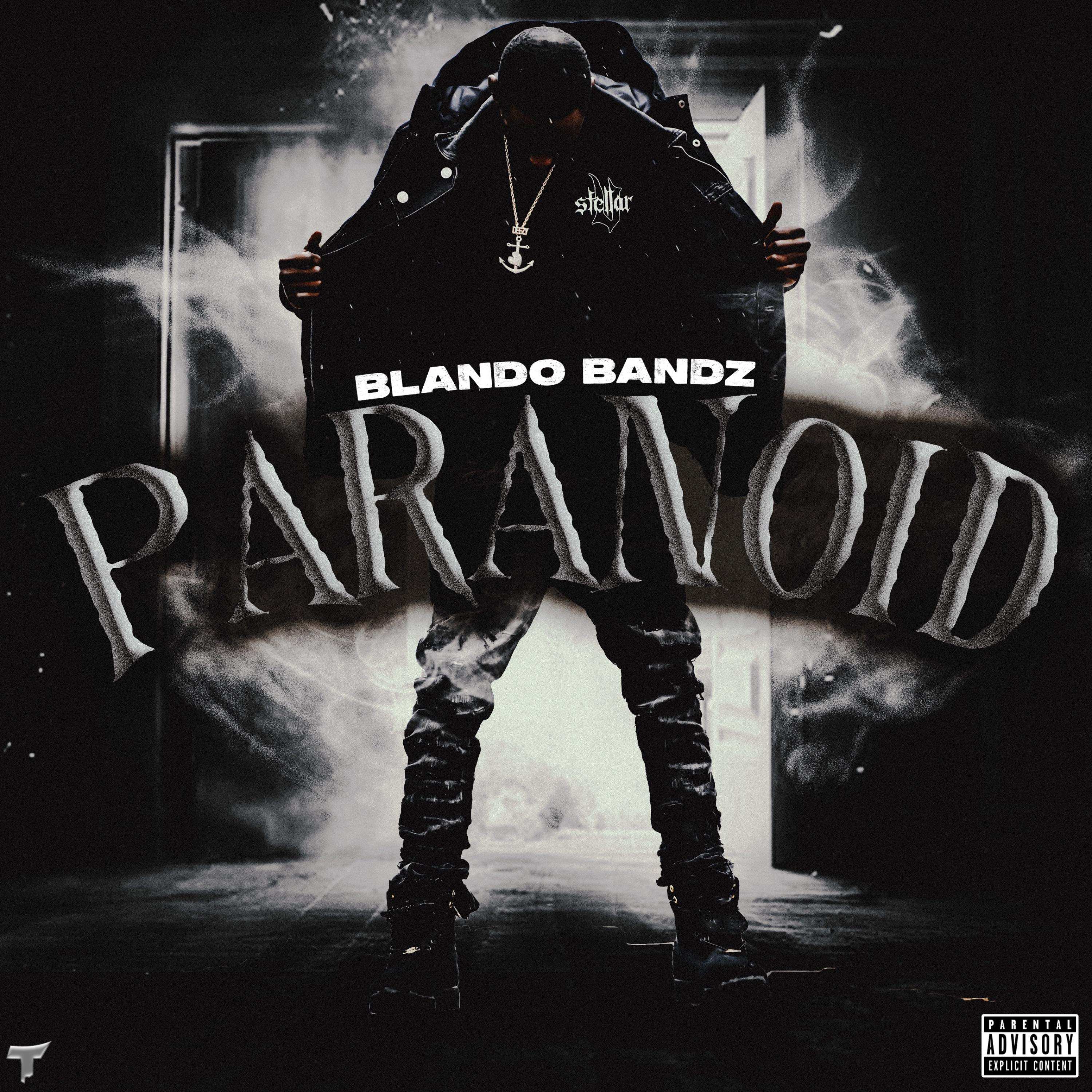 Paranoid artwork