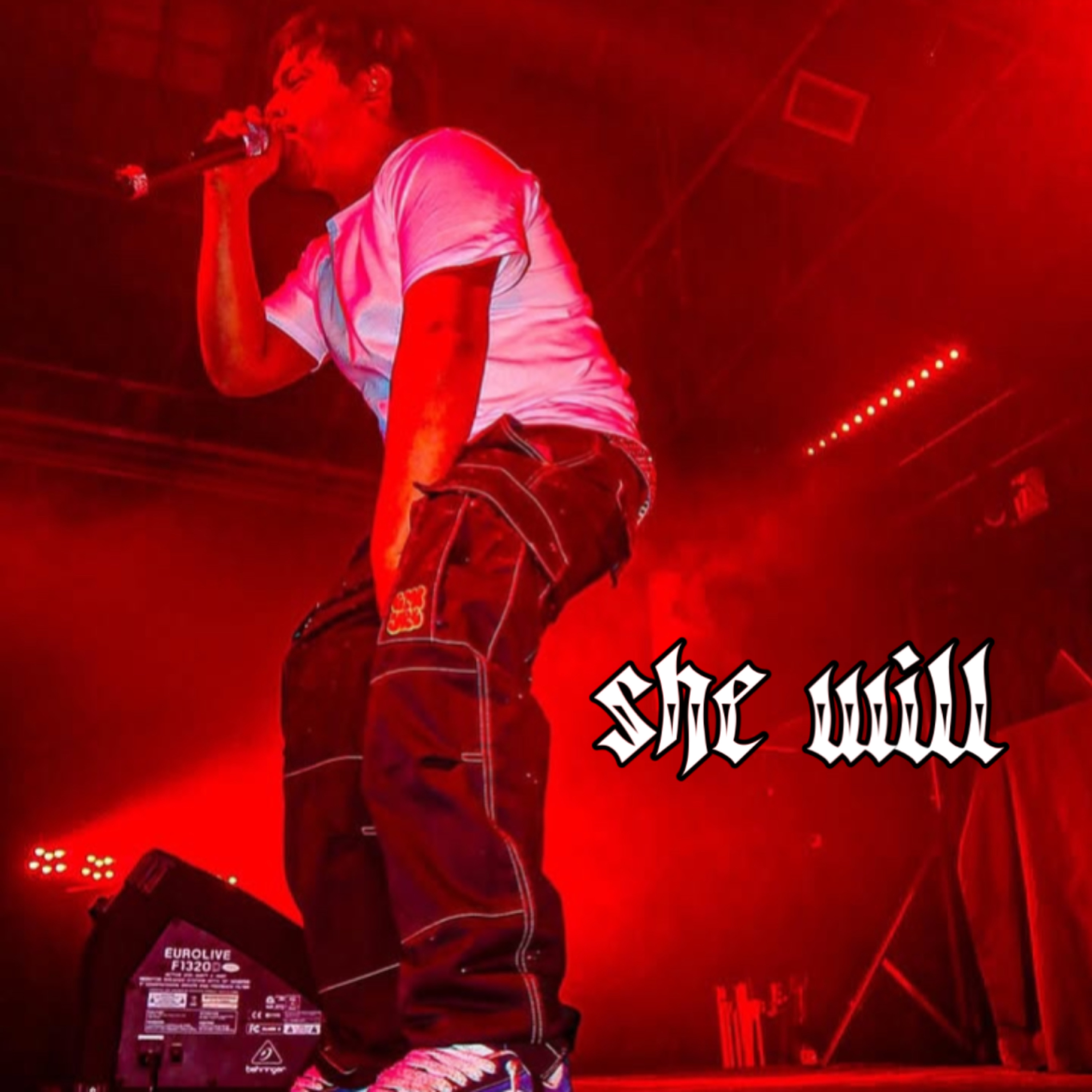 She Will artwork