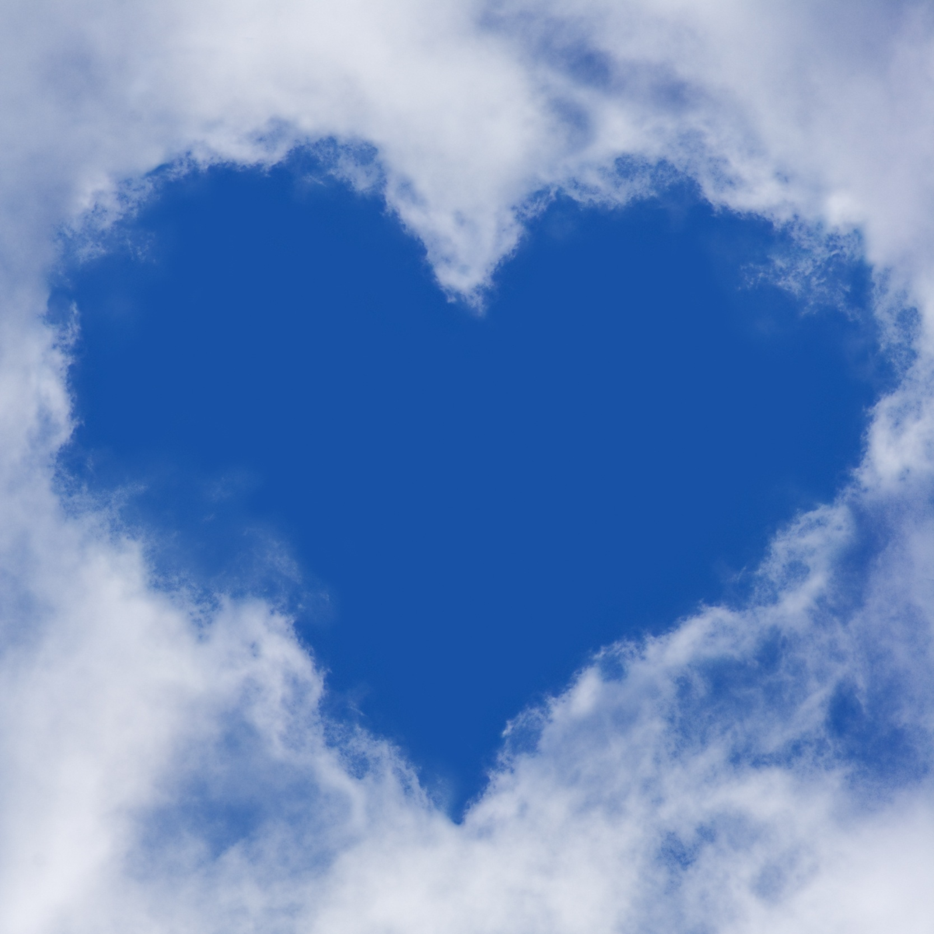Built To Love You artwork