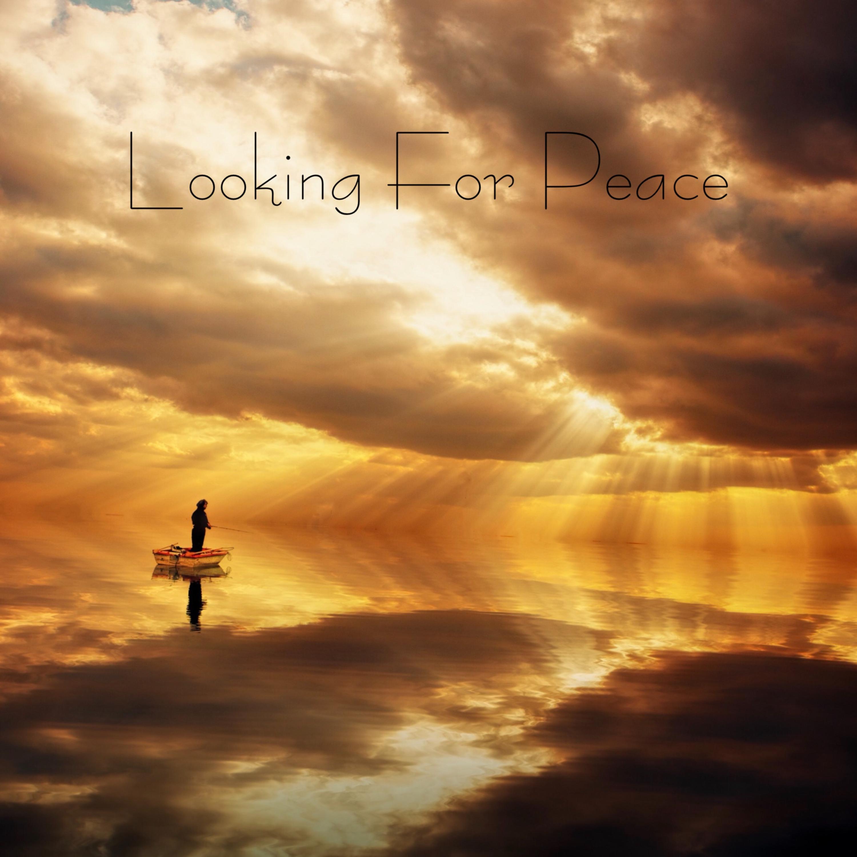Looking For Peace artwork