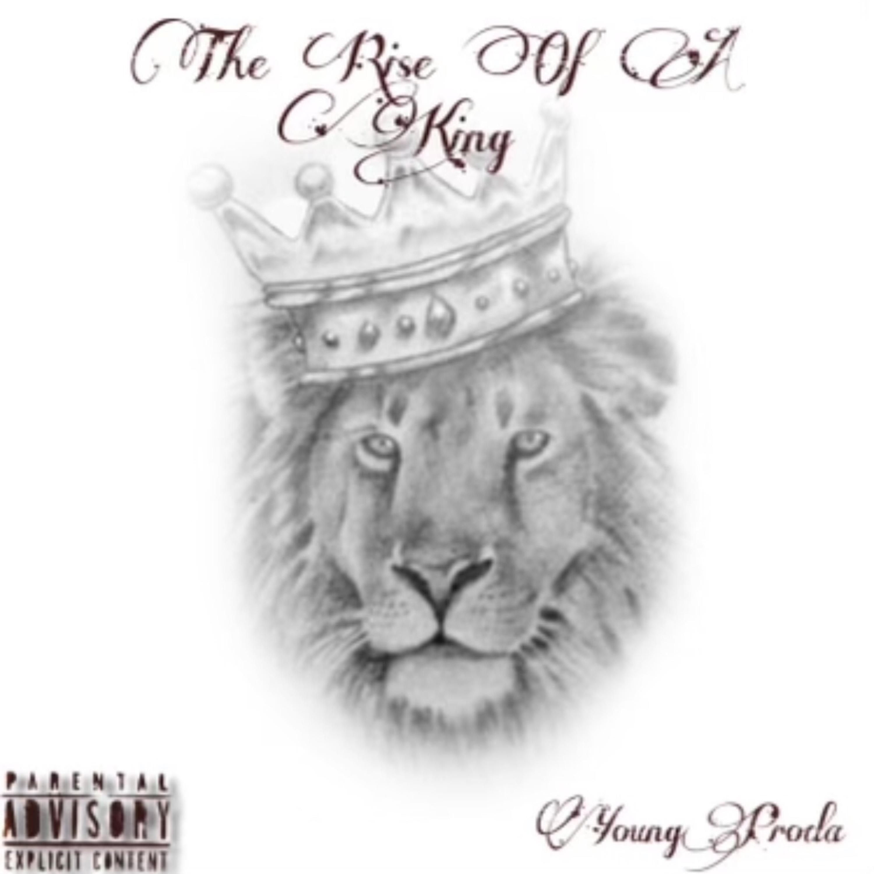 The Rise Of A King artwork