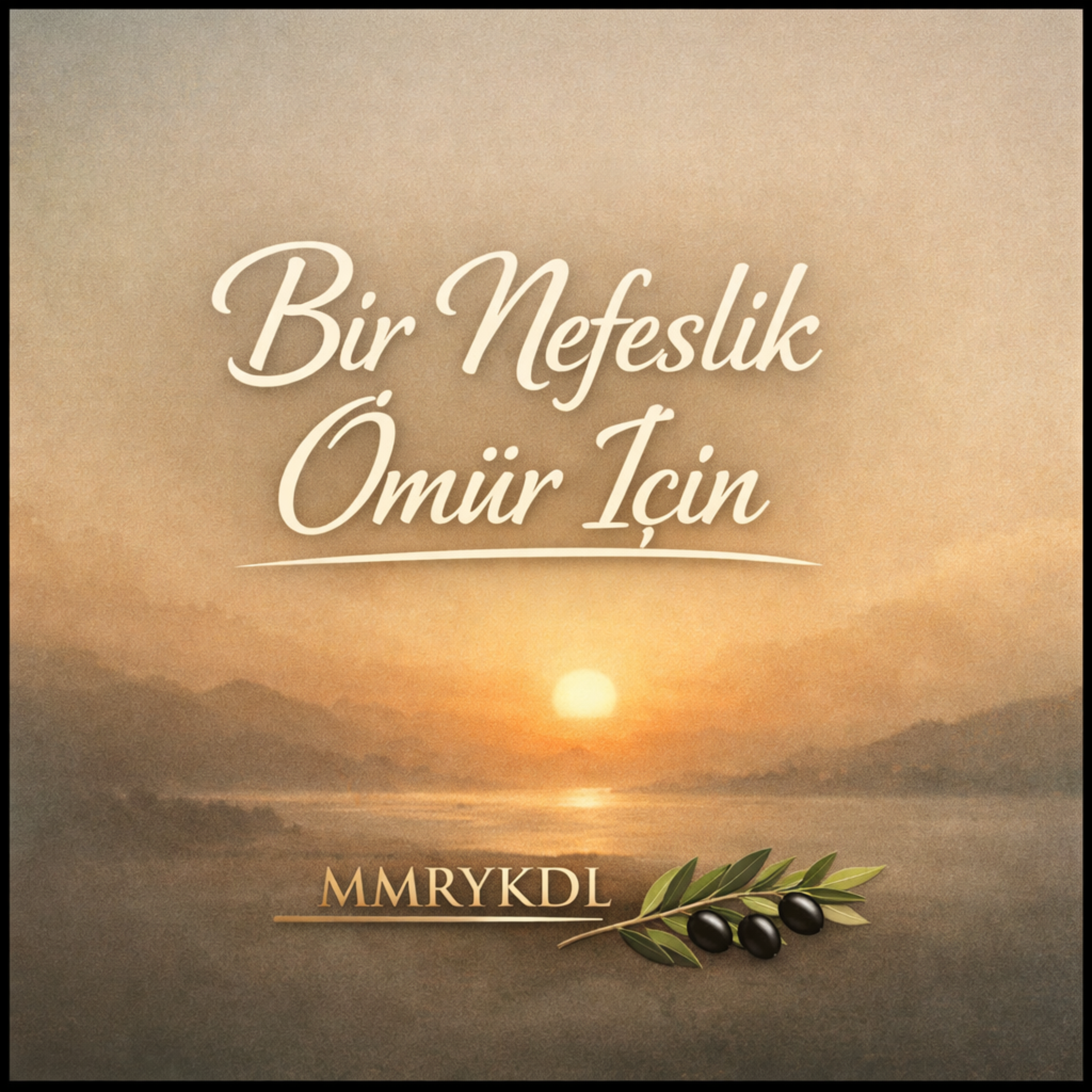 Bir Nefeslik Ömür İçin by MMRYKDL cover art