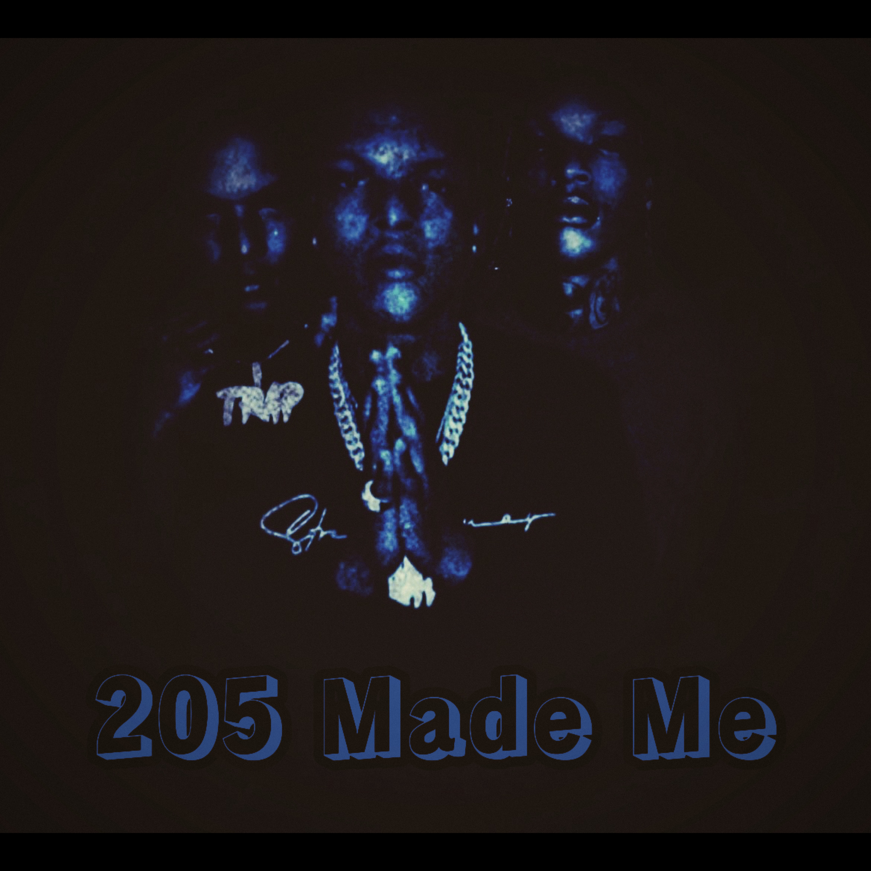 205 Made Me artwork