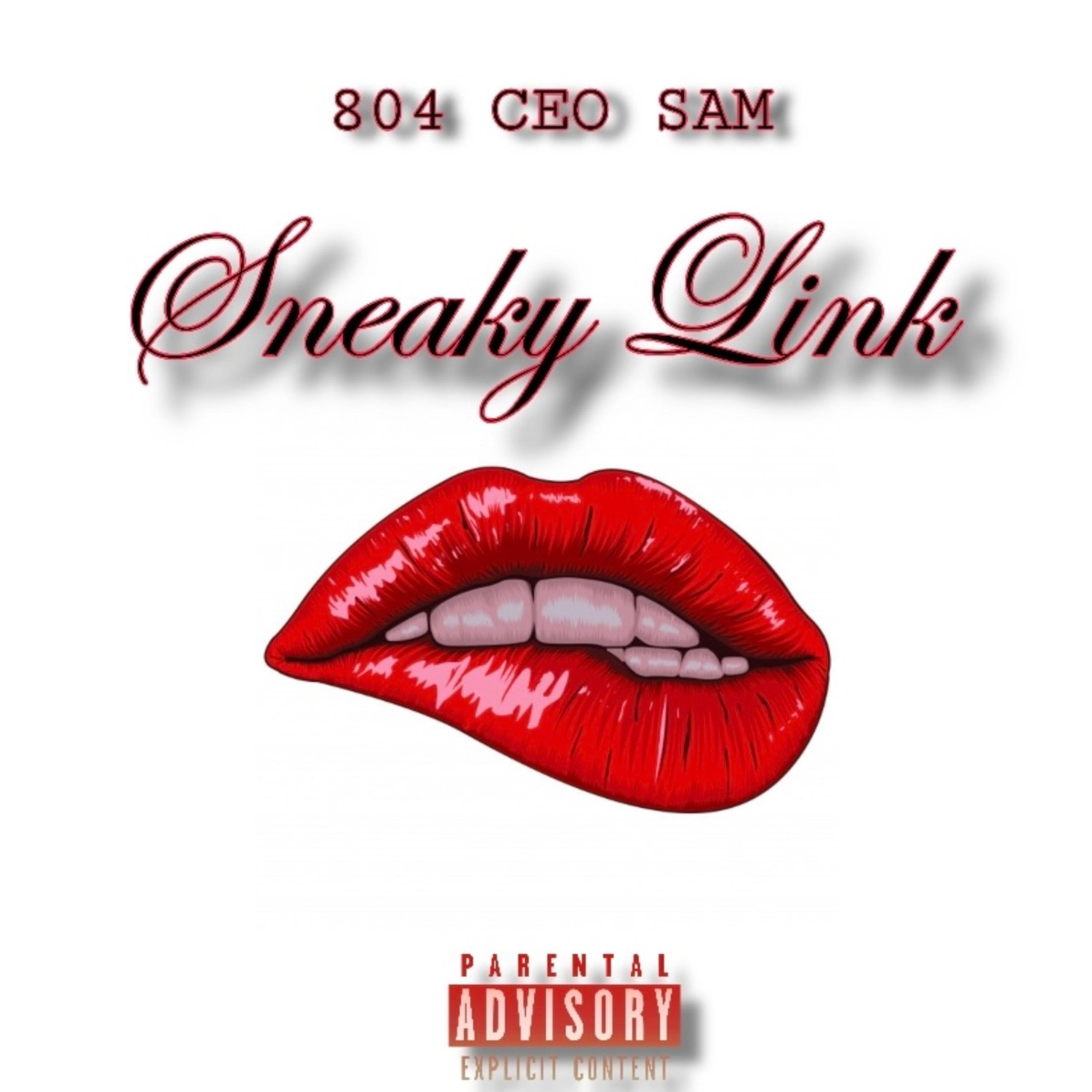Sneaky Link (Clean Version) by CEO Sam cover art