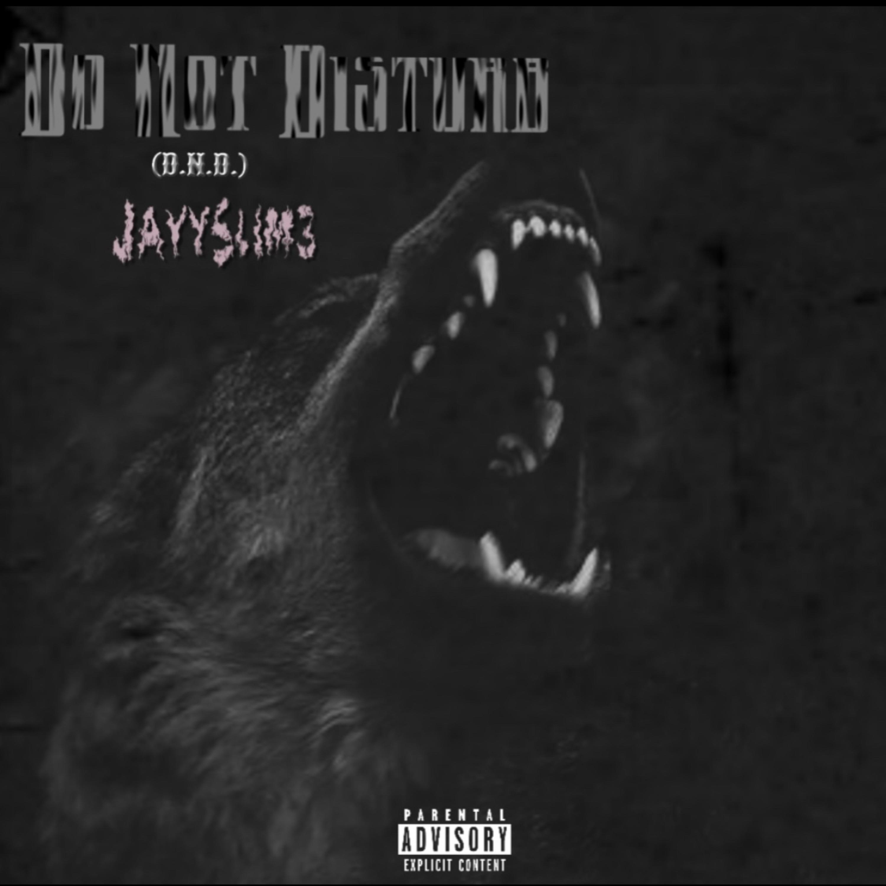 Do Not Disturb (D.N.D.) by JayySlim3 cover art