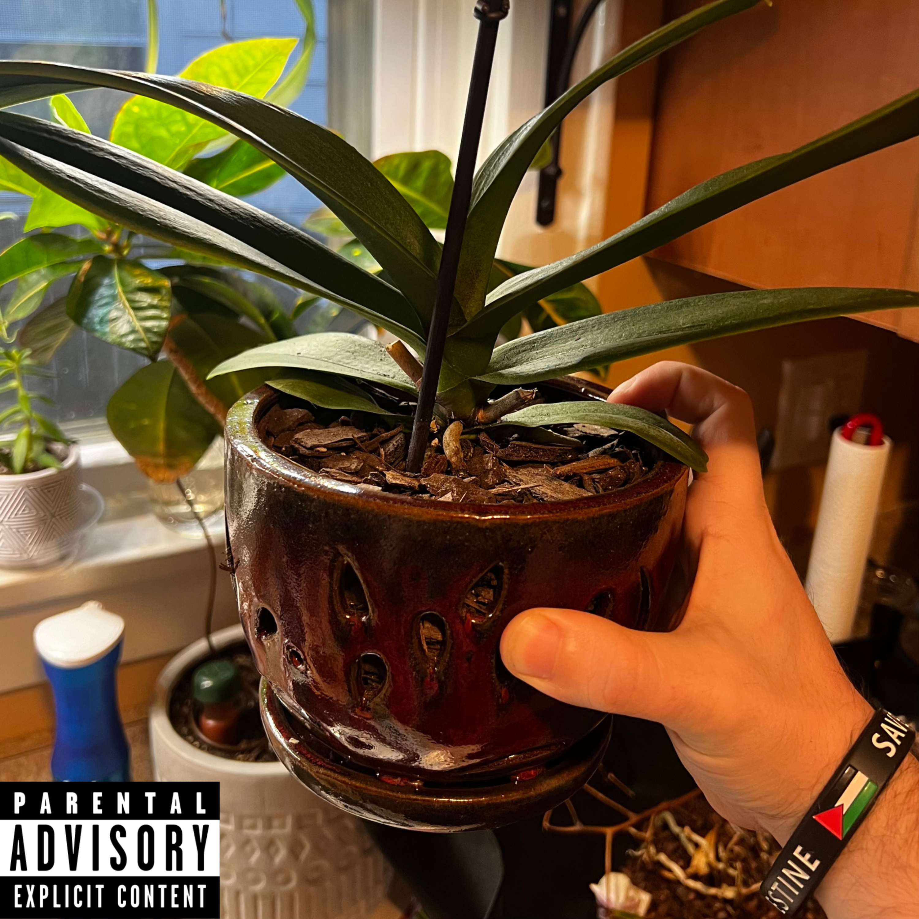 Cherry Bomb pt 1 artwork