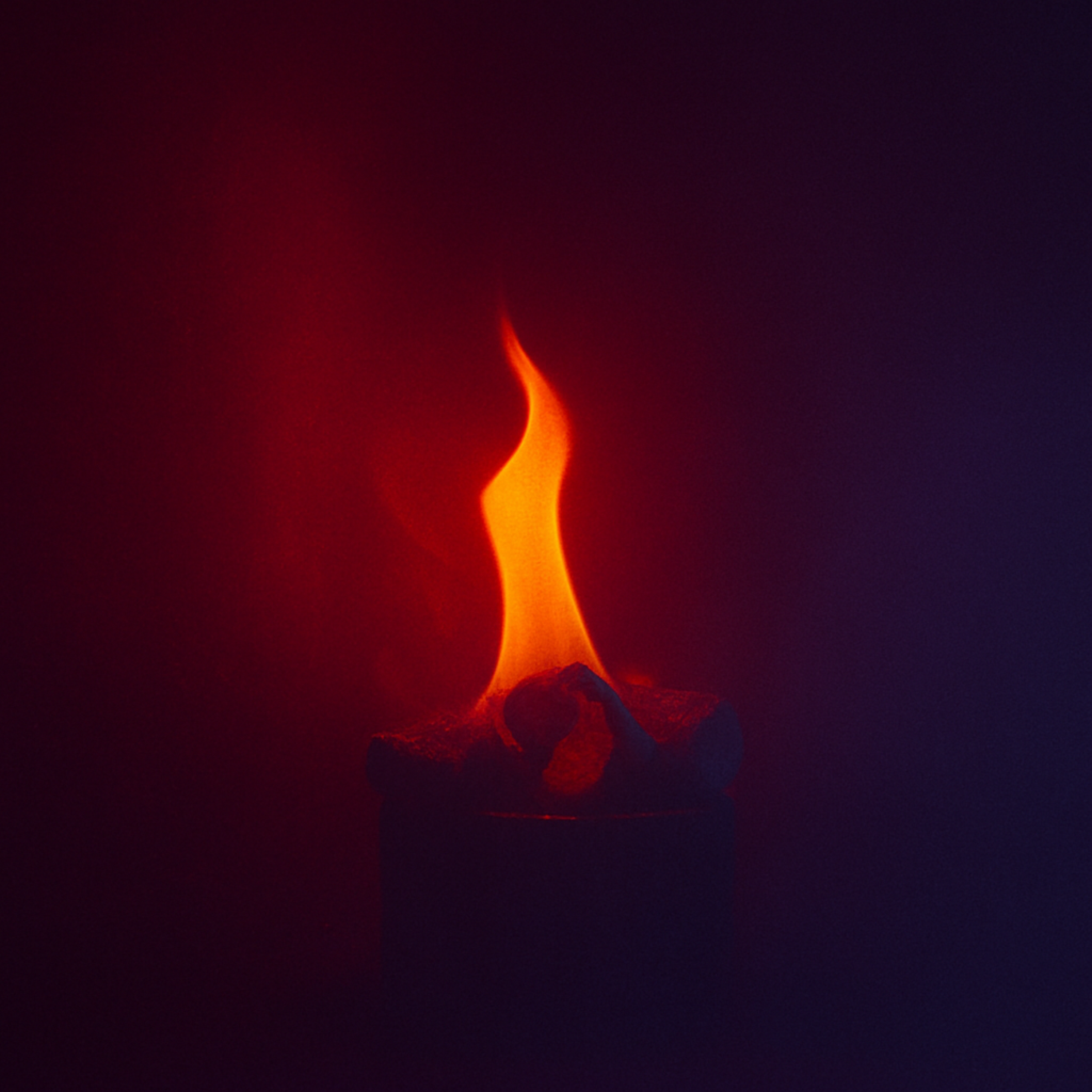Feel the Fire artwork