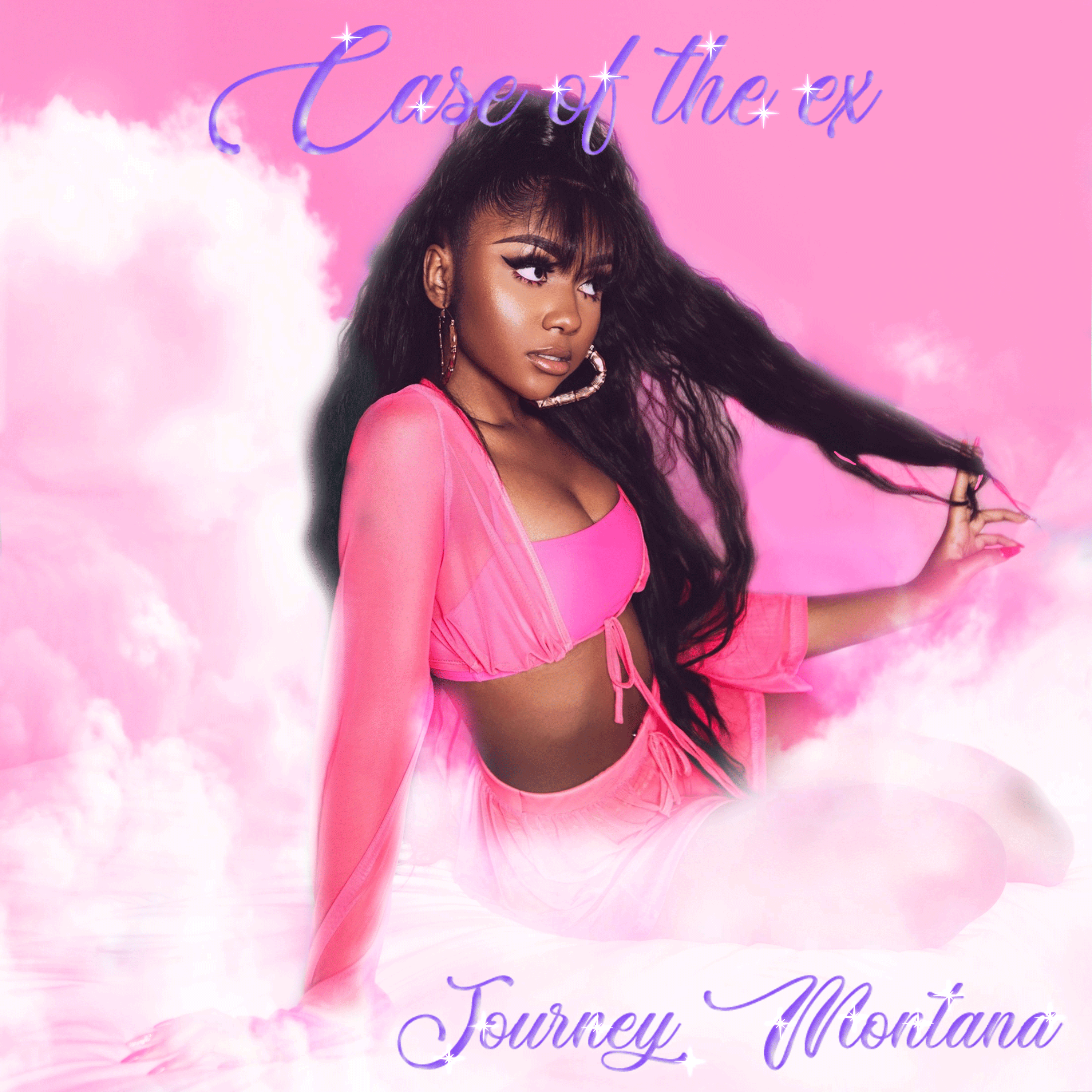 Case Of The Ex by Journey Montana cover art