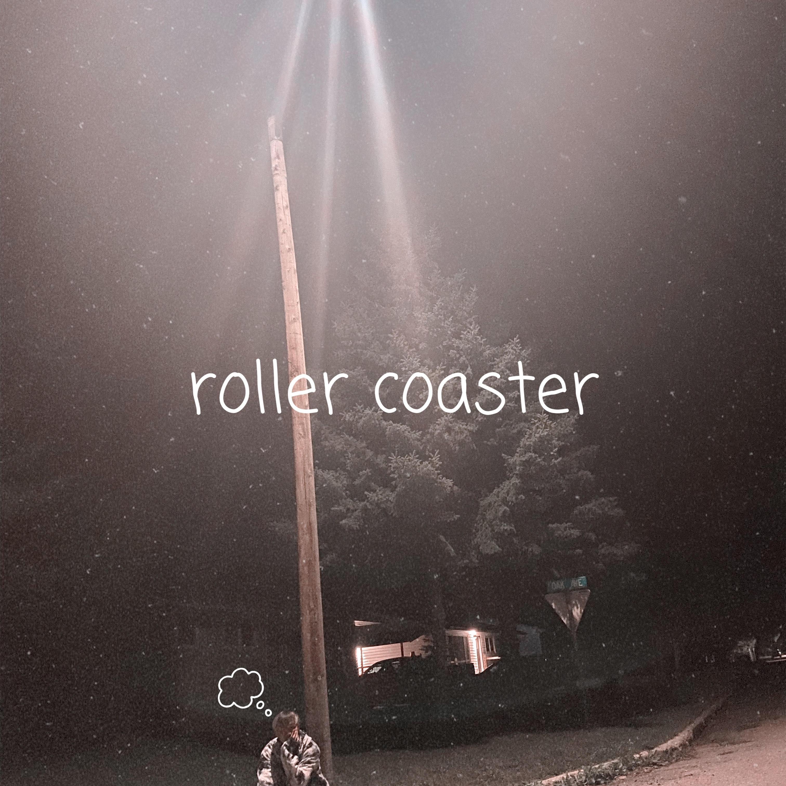 roller coaster artwork